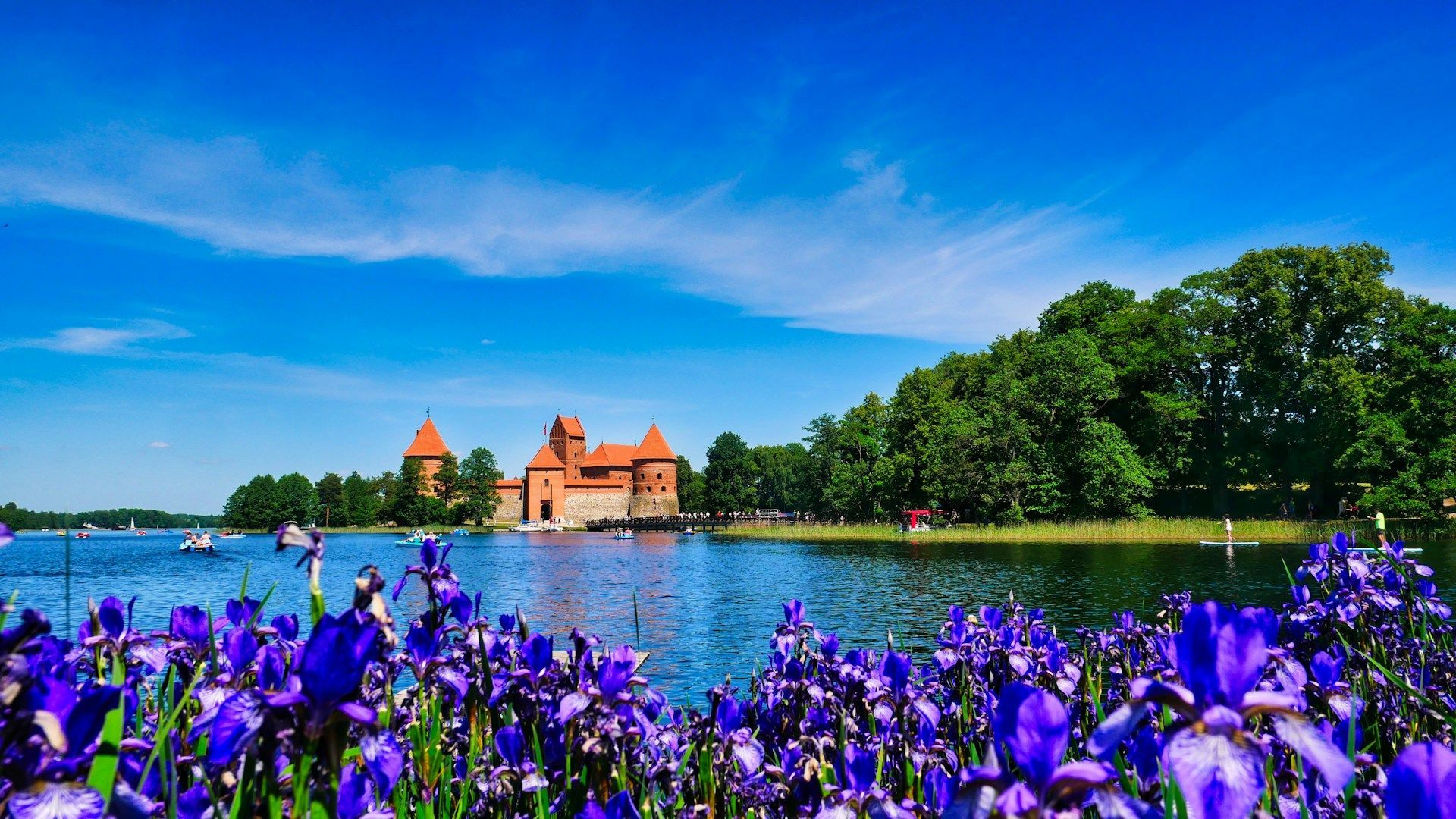 Un castello di mattoni rossi su un'isola in un lago, ammirato da un campo di iris viola sotto un cielo azzurro e limpido.