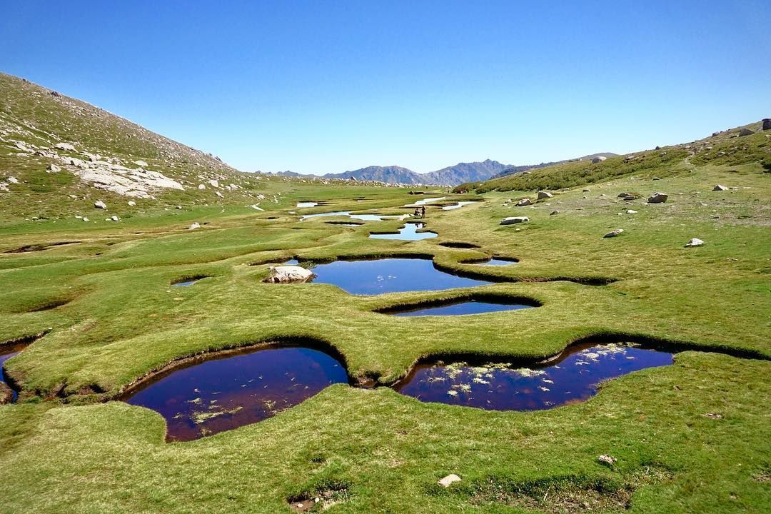 De petites étendues d'eau serpentent à travers une prairie verdoyante luxuriante dans une vallée montagneuse sous un ciel bleu clair.