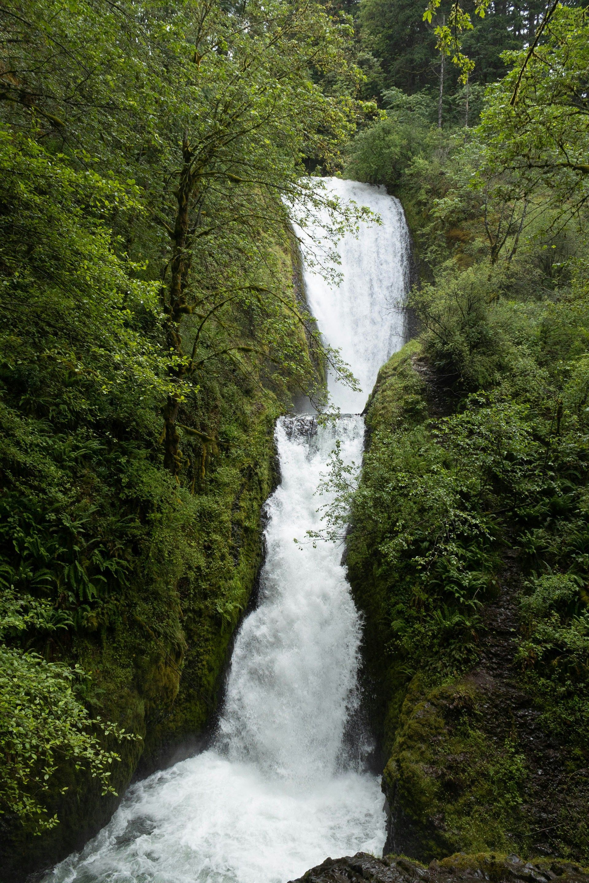 Una cascata a due livelli si riversa in una gola rocciosa, circondata da una lussureggiante foresta verde.