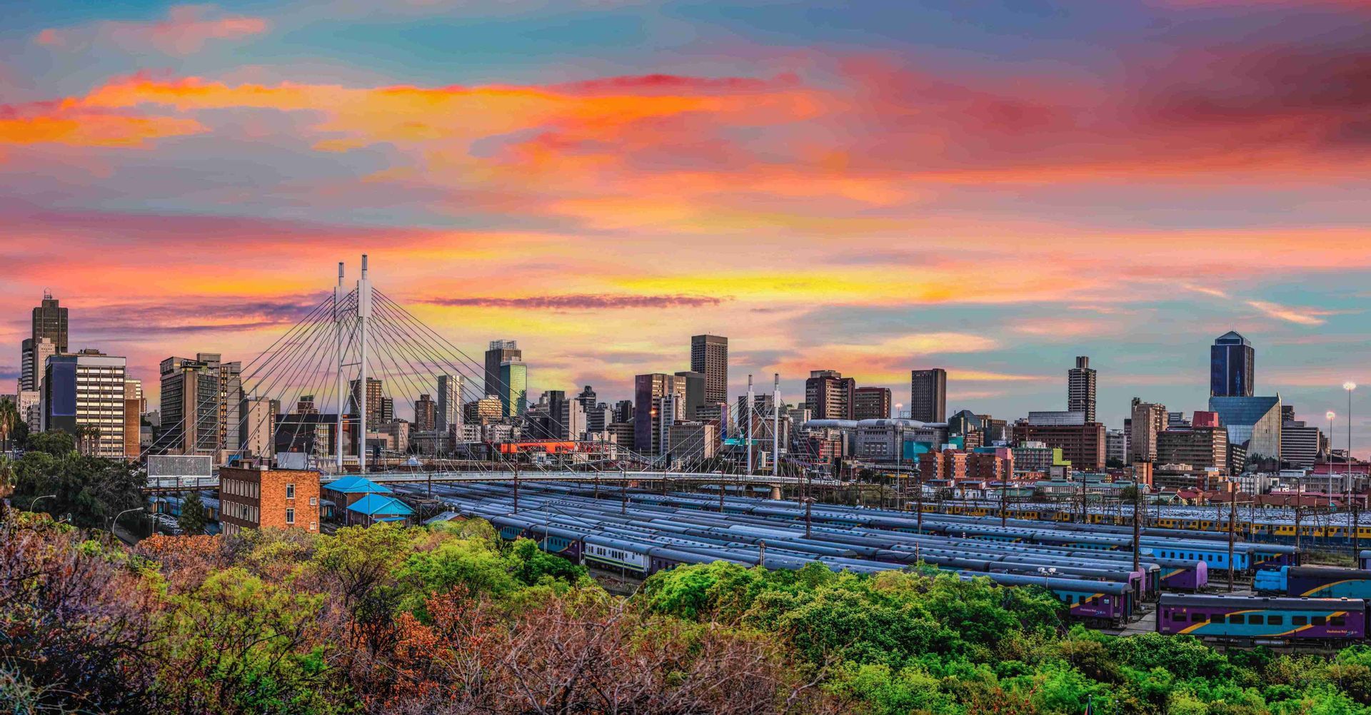 Skyline urbano con un grande ponte strallato e una stazione ferroviaria, visibili tra le cime degli alberi durante un tramonto vibrante.