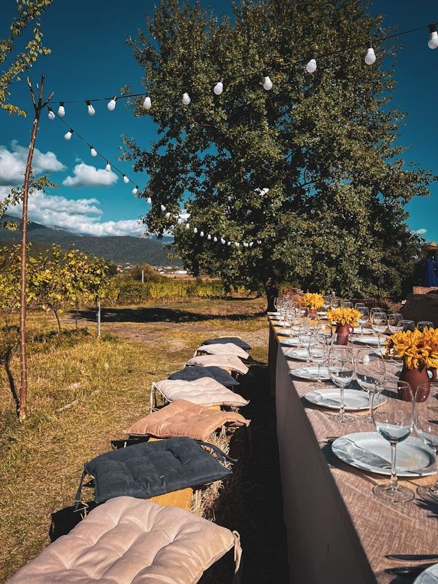 A long outdoor table set for a meal in a vineyard, with hay bales for seating and string lights hanging from a tree.