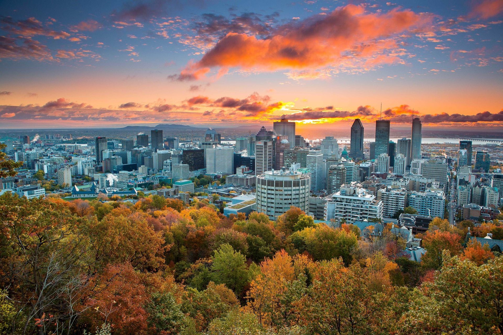 Una vista elevata dello skyline di una città con grattacieli, incorniciata da un colorato fogliame autunnale sotto un vivace cielo al tramonto.