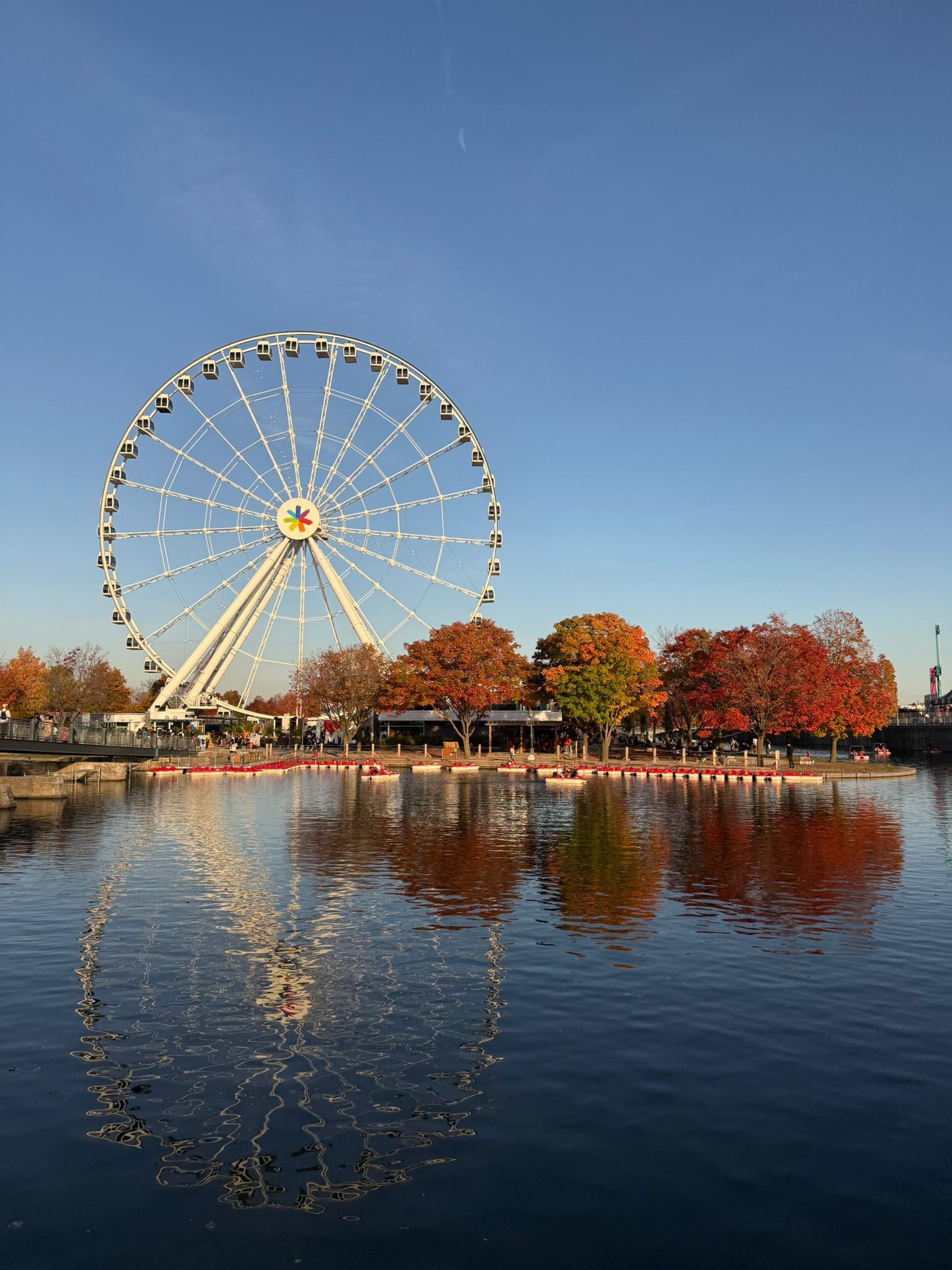 Una grande ruota panoramica bianca e alberi con fogliame autunnale si riflettono nell'acqua sottostante, su uno sfondo di cielo azzurro limpido.