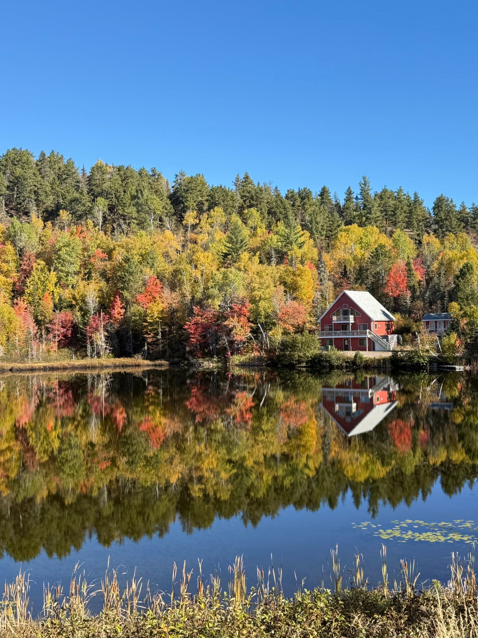 Una casa rossa e una fitta foresta con colori autunnali si riflettono perfettamente nell'acqua calma di un lago.