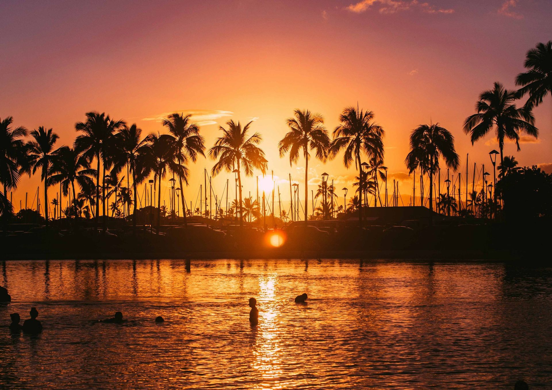 Sagome di persone che nuotano in acqua durante un vibrante tramonto arancione, con palme e alberi delle barche sullo sfondo.