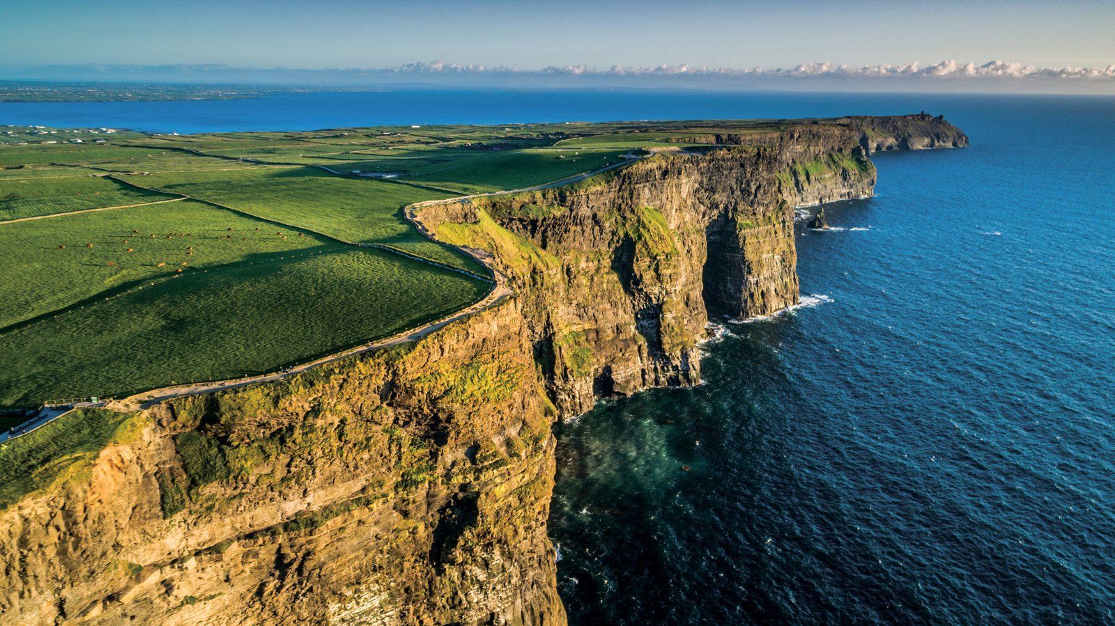 Una vista aerea di scogliere a picco che si gettano nell'oceano blu profondo, accanto a vasti campi verdi sotto un cielo soleggiato.