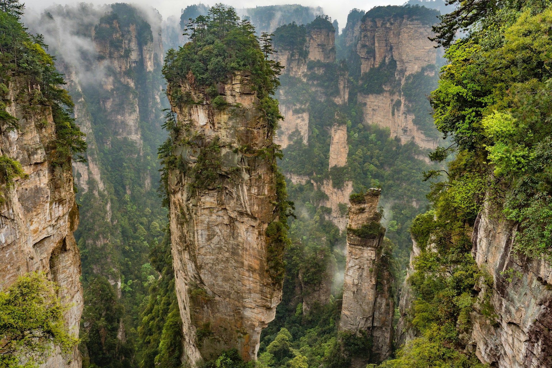 Alte formazioni rocciose a pilastro, ricoperte di vegetazione verde, si ergono da una fitta foresta, mentre la nebbia si insinua tra le valli.