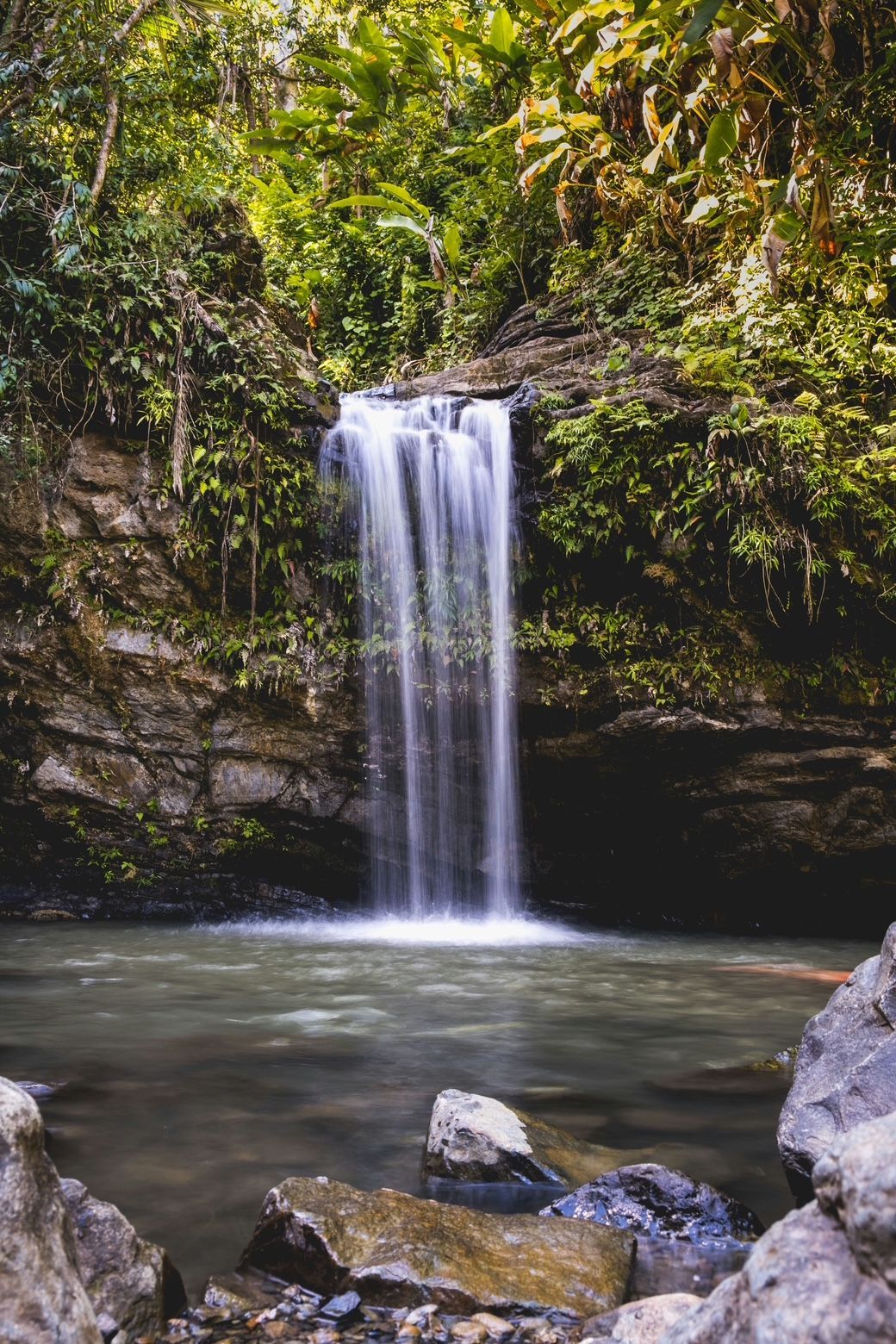 A waterfall with a long exposure effect cascades over a mossy rock face into a calm pool of water in a lush green jungle.