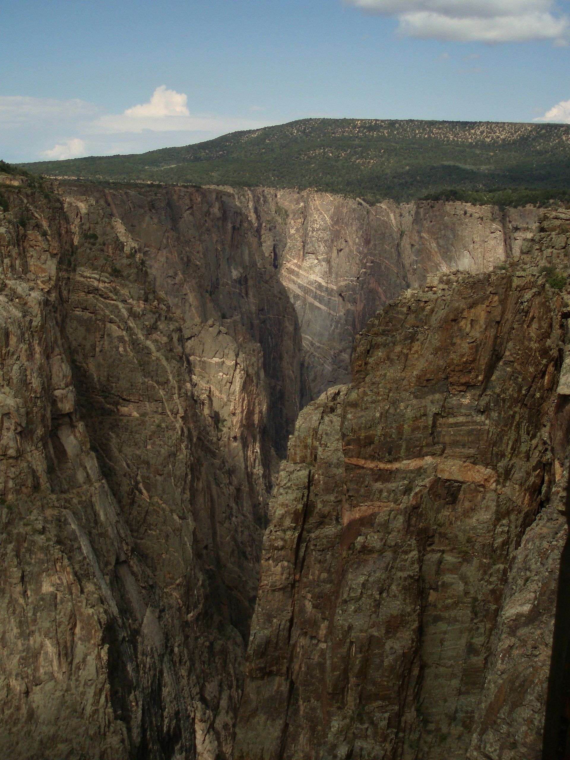 Imponenti e scure pareti rocciose di un profondo canyon, con una mesa dalla cima verde sullo sfondo e un cielo azzurro.