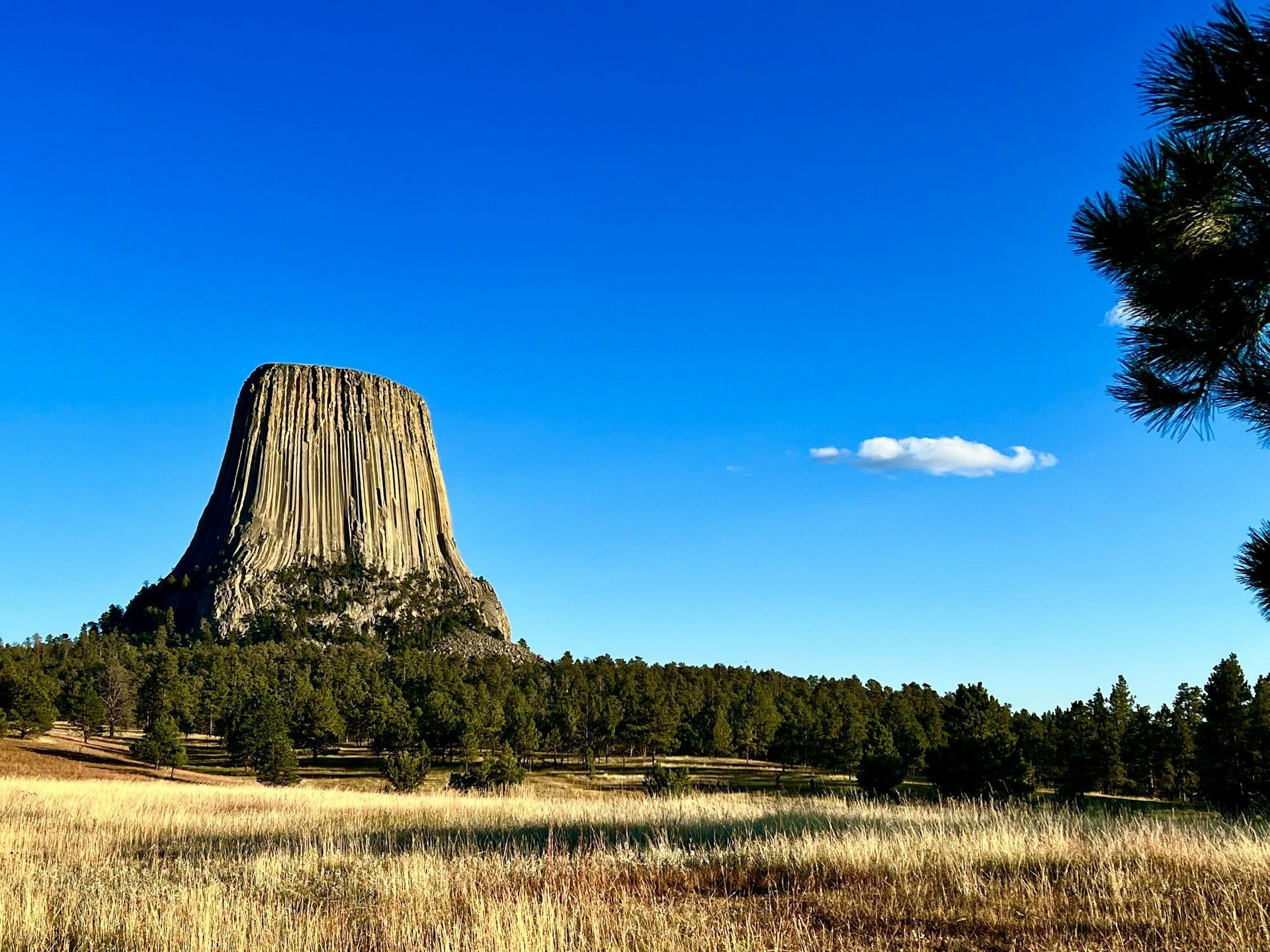 Una grande formazione rocciosa colonnare si erge sopra una fitta foresta verde e un campo di erba secca sotto un cielo azzurro limpido.