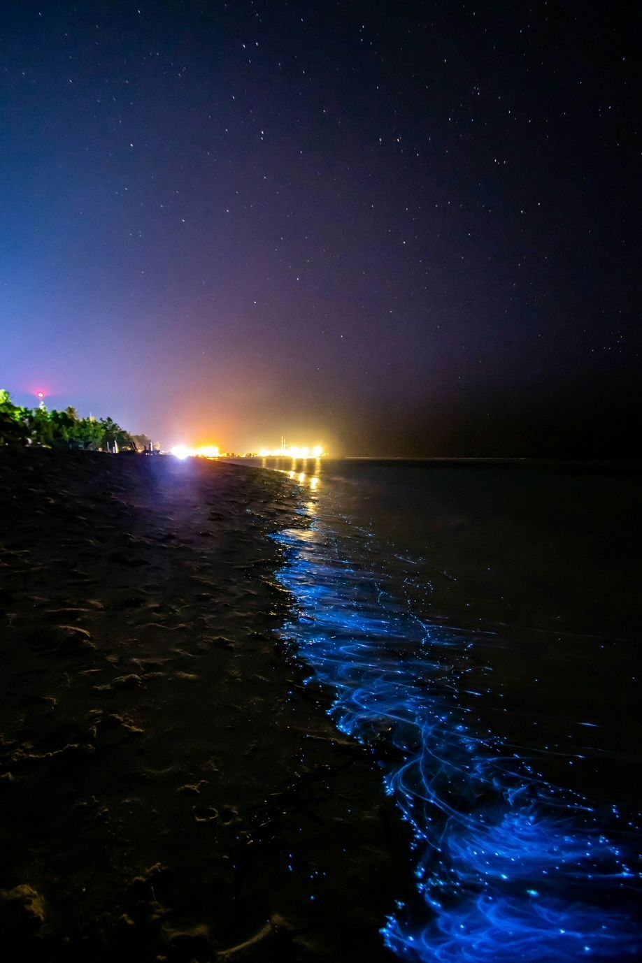 Bioluminescent plankton glows bright blue in the surf on a sandy beach at night under a starry sky.