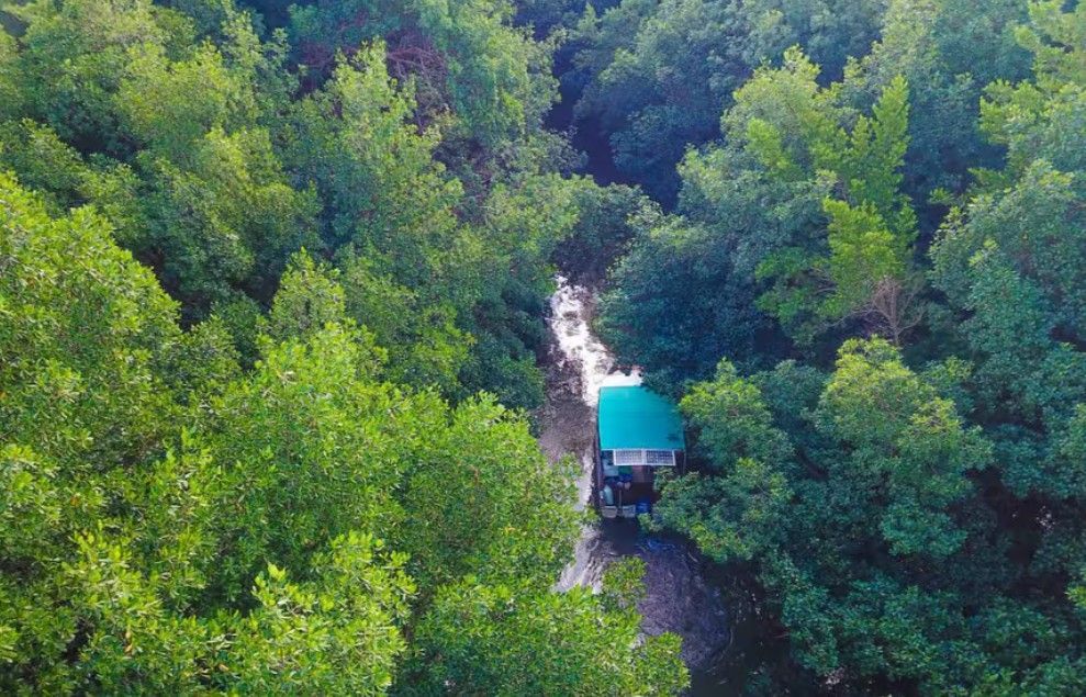 Vue aérienne d'un bateau au toit vert naviguant sur une rivière étroite, au cœur d'une forêt dense et luxuriante.