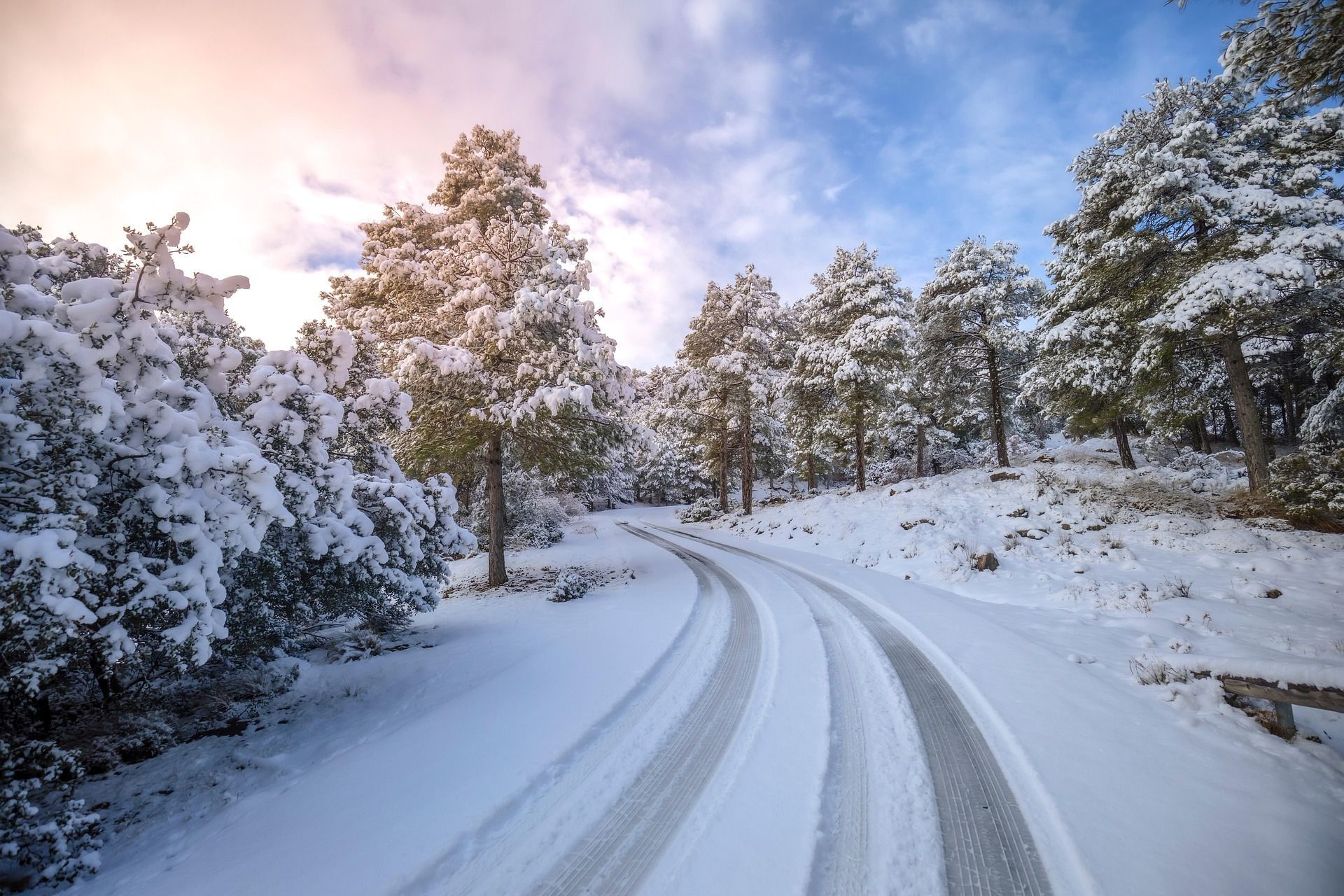 Un camino nevado con huellas de neumáticos serpentea a través de un bosque de pinos cubiertos de nieve bajo un cielo nublado.