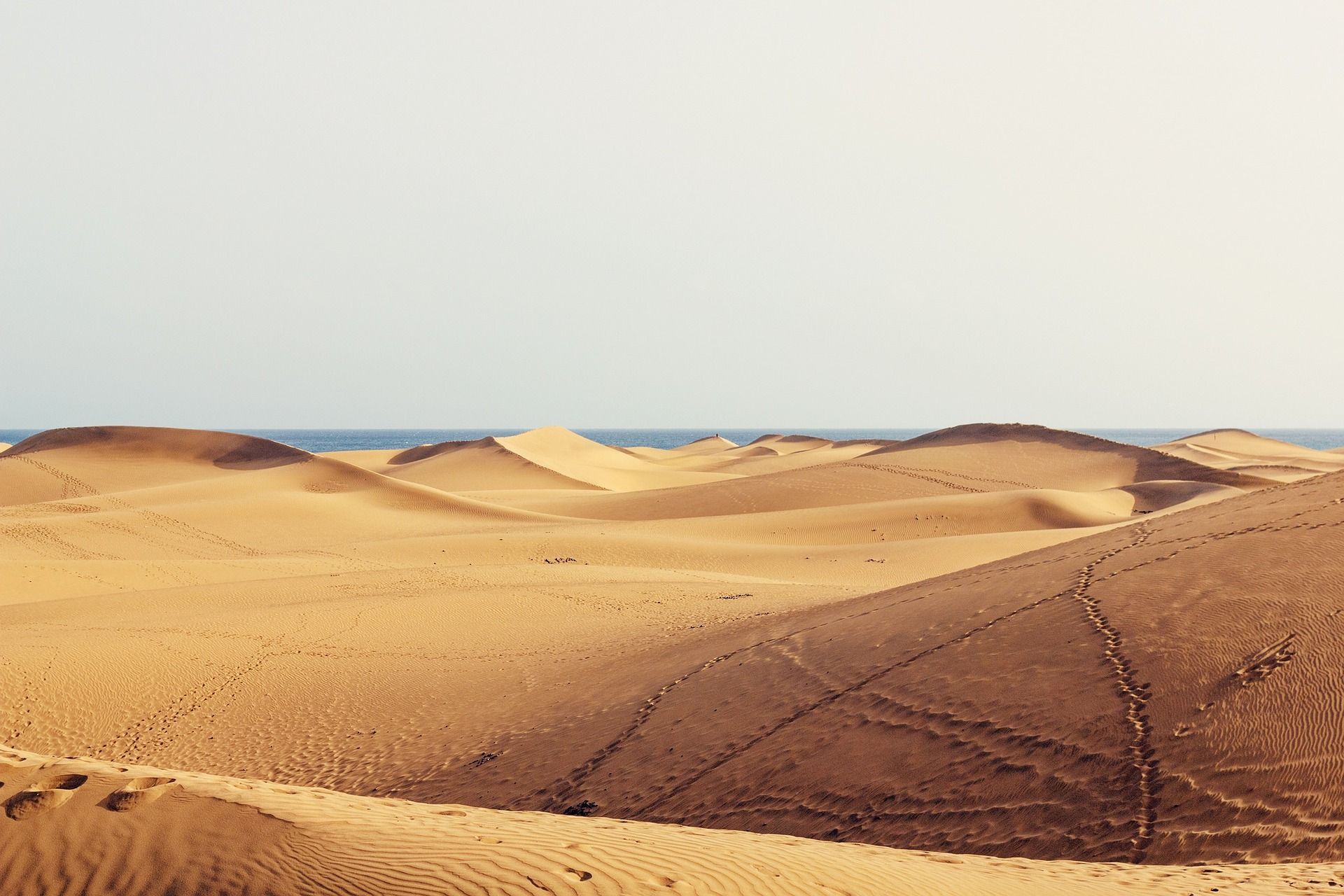 Ondeggianti dune di sabbia dorata con impronte visibili conducono all'oceano blu in lontananza, sotto un cielo limpido e velato.