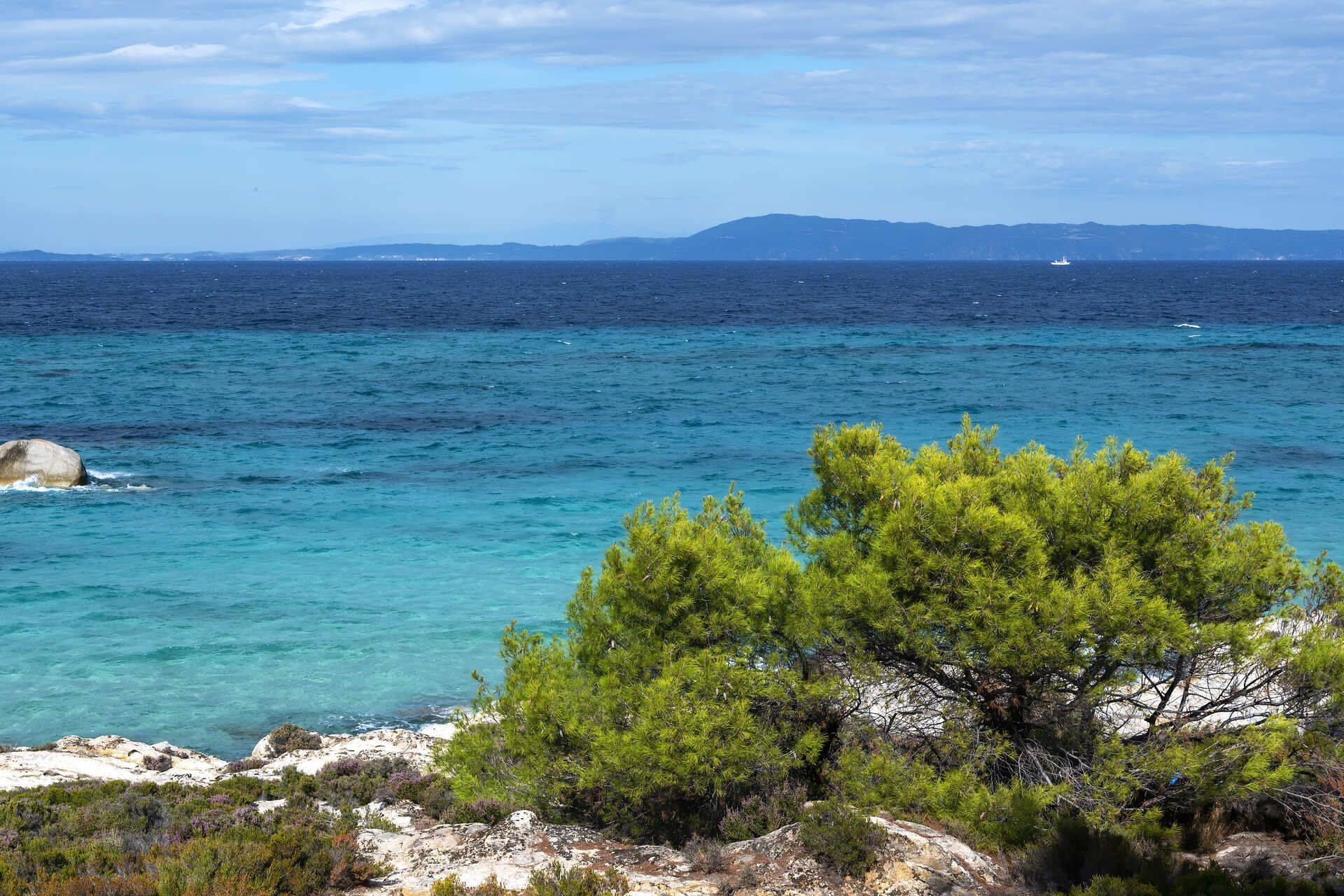 Una costa rocciosa con alberi verdi si affaccia su un mare turchese e blu profondo, con una terraferma lontana sotto un cielo nuvoloso.