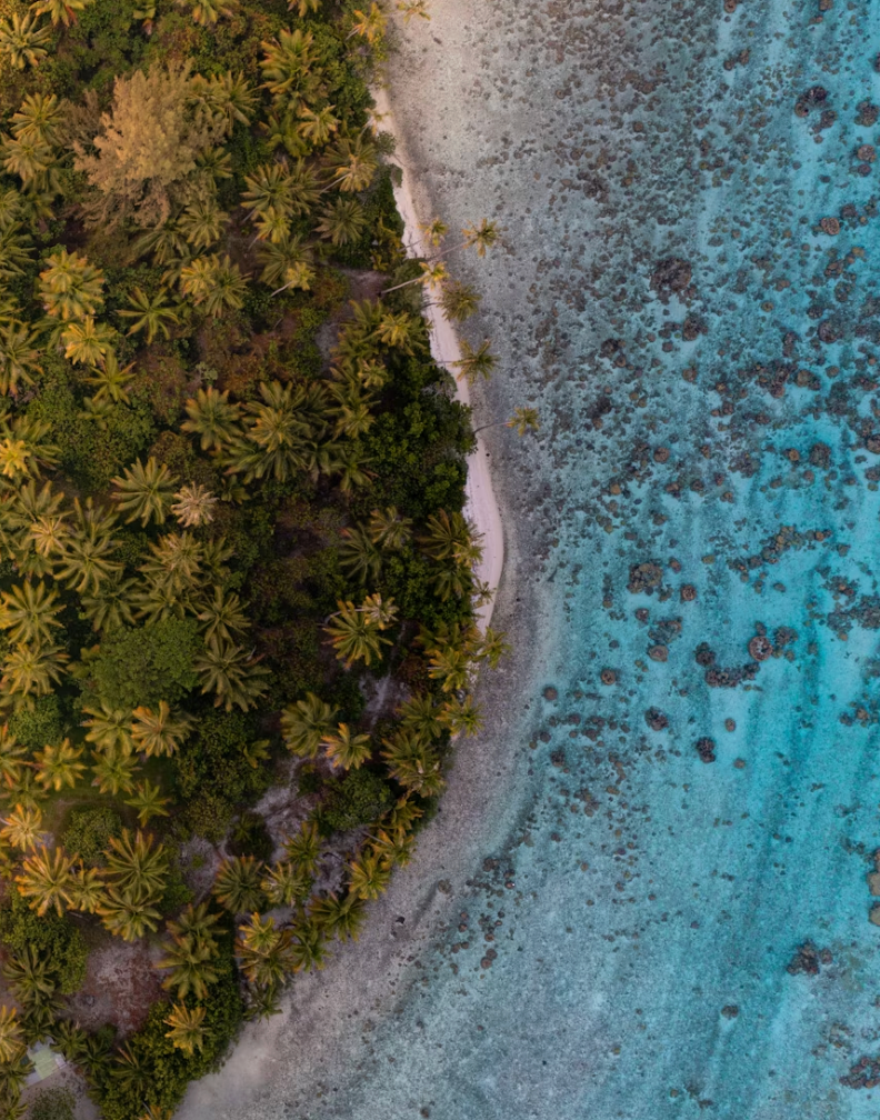 Veduta aerea dall'alto della costa di un'isola tropicale, che separa una fitta foresta di palme dal chiaro oceano turchese.