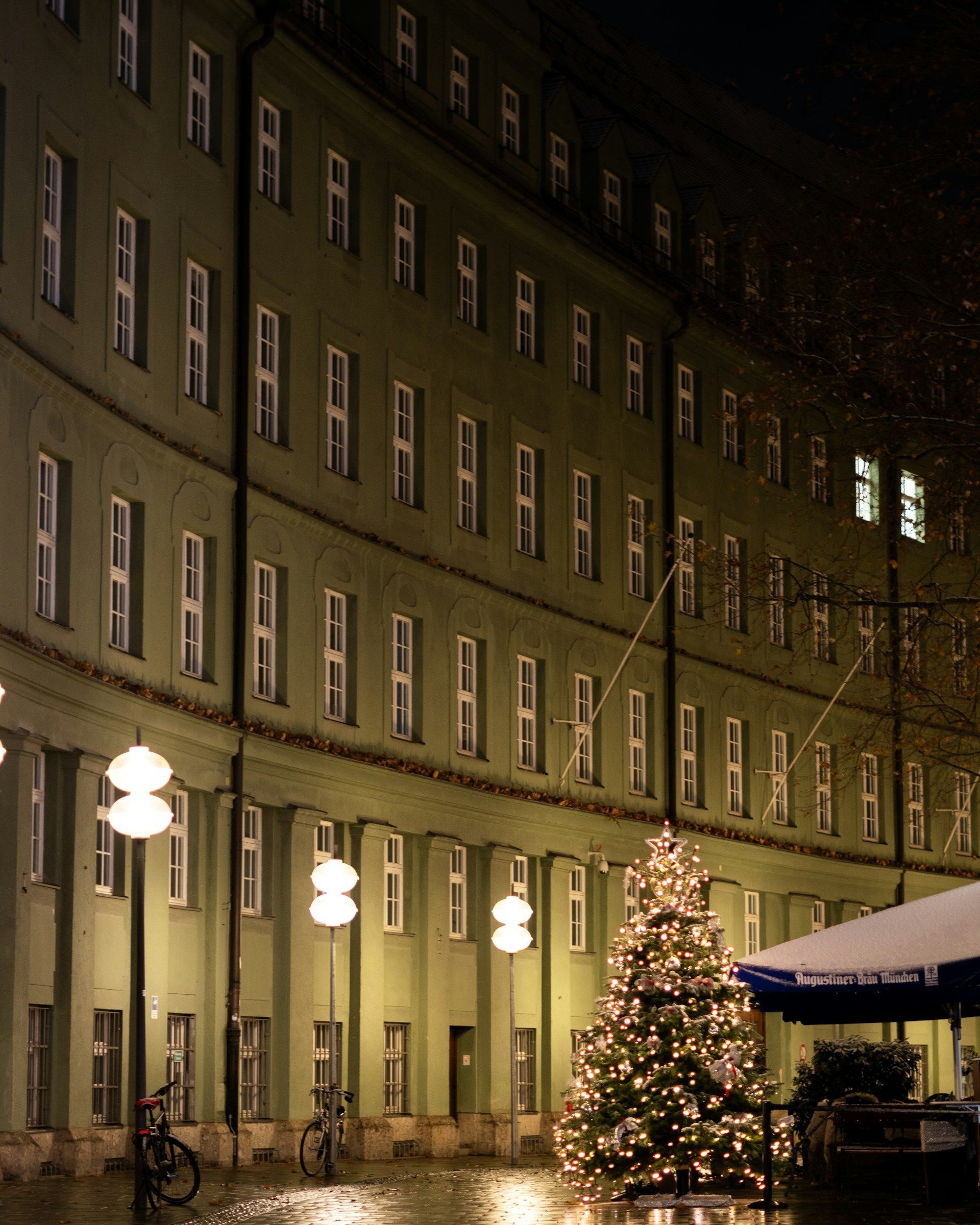 Di notte, un albero di Natale illuminato si erge su una piazza di ciottoli bagnata, davanti a un grande edificio verde e curvo con molte finestre.