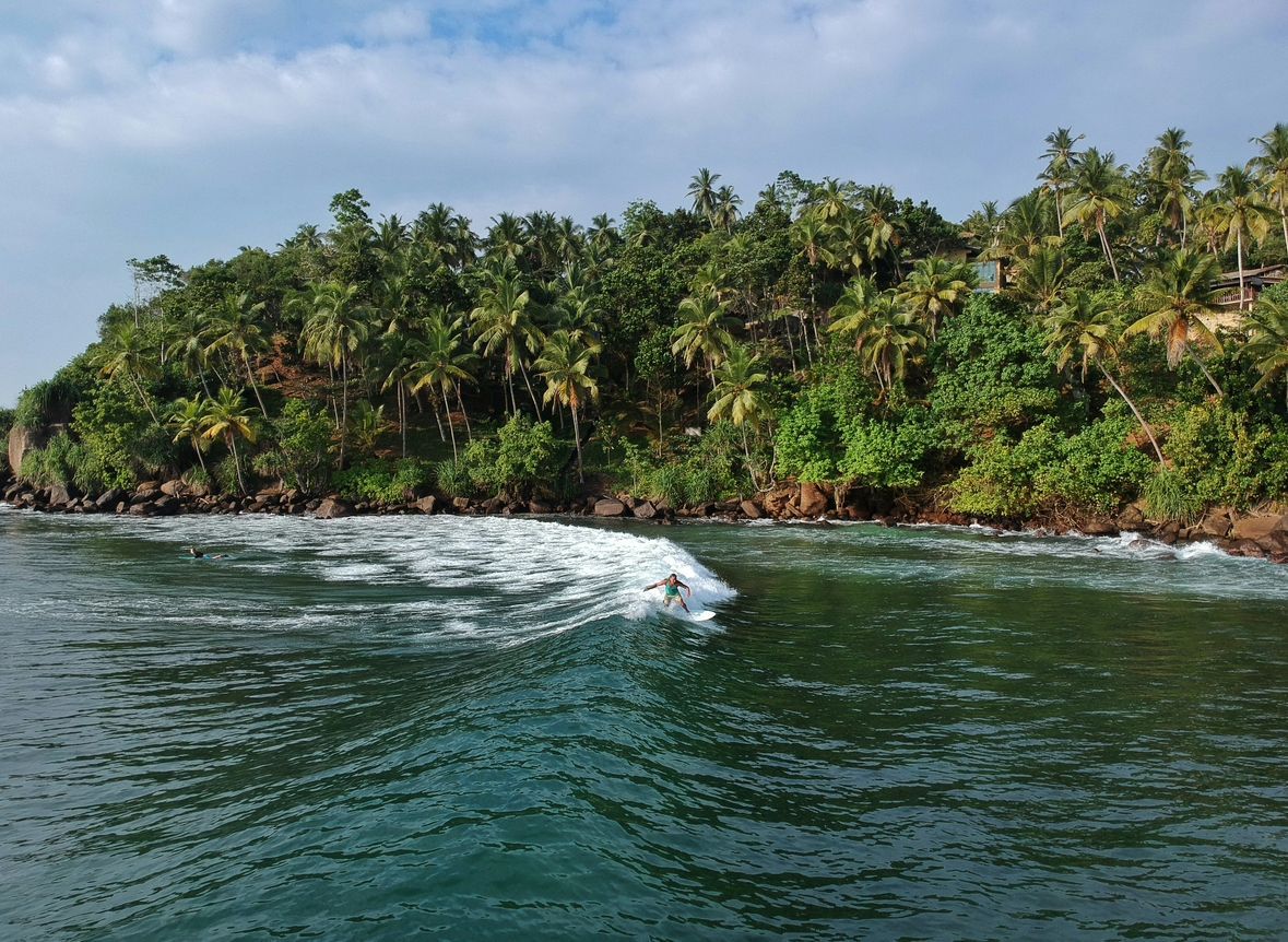 Un surfista cavalca un'onda su acqua verde scuro, con una costa rocciosa e ricoperta di palme sullo sfondo.