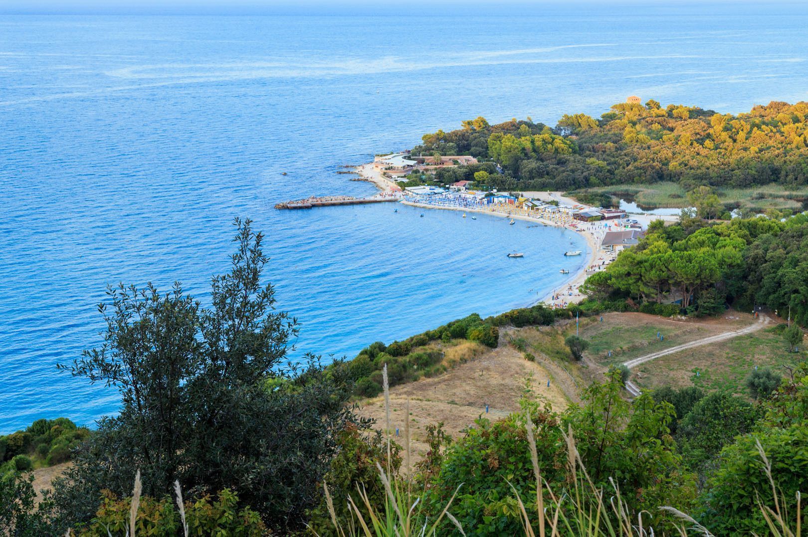 Una vista panoramica su una baia sabbiosa che si snoda lungo una costa alberata, bagnata dal vasto mare blu.
