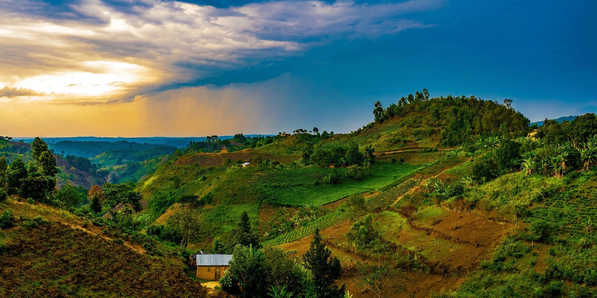 Une vaste étendue de collines verdoyantes et ondulantes, parsemée de terrasses agricoles et de quelques petites maisons, sous un ciel partagé entre soleil et nuages.