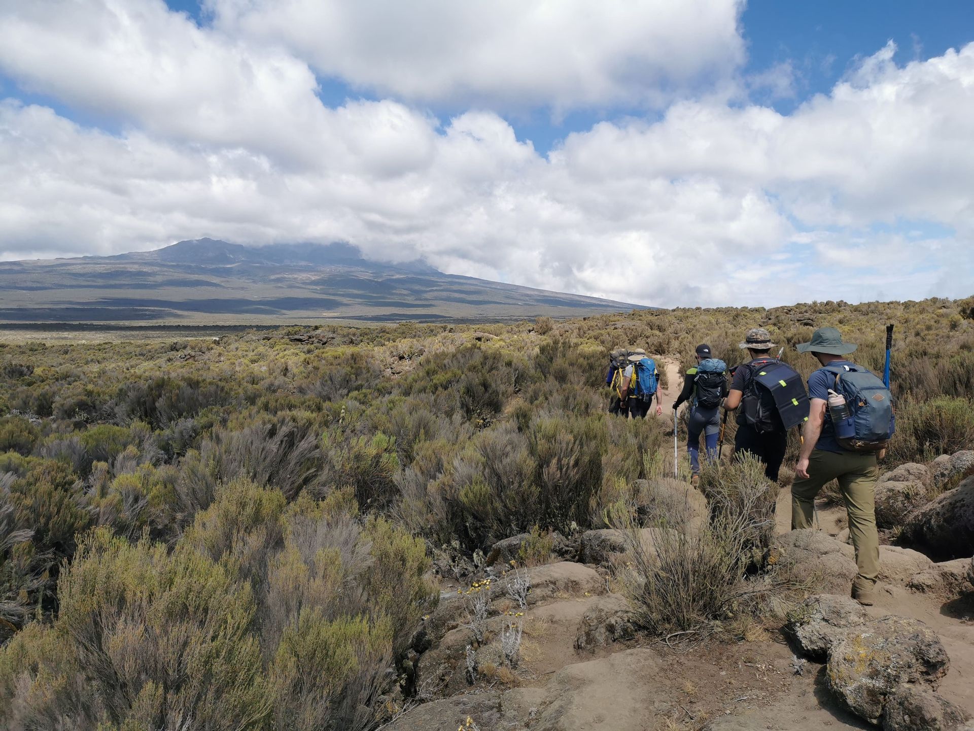 Un viaggio di gruppo WeRoad: trekking con zaini in spalla su un sentiero che attraversa una vasta macchia mediterranea, con una grande montagna sullo sfondo.