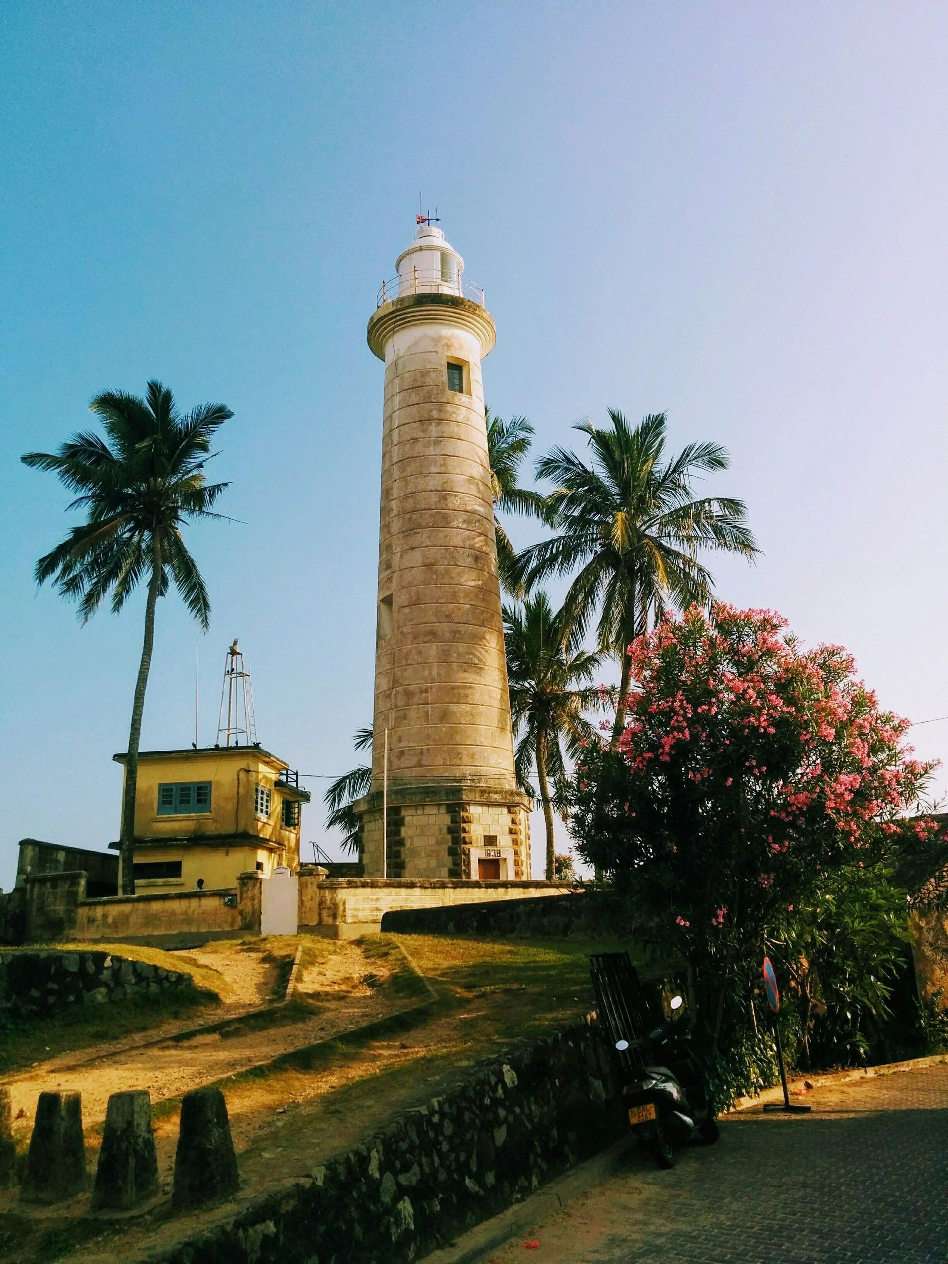 Un alto faro in pietra si erge su una collina circondato da palme e un arbusto fiorito sotto un cielo azzurro limpido.