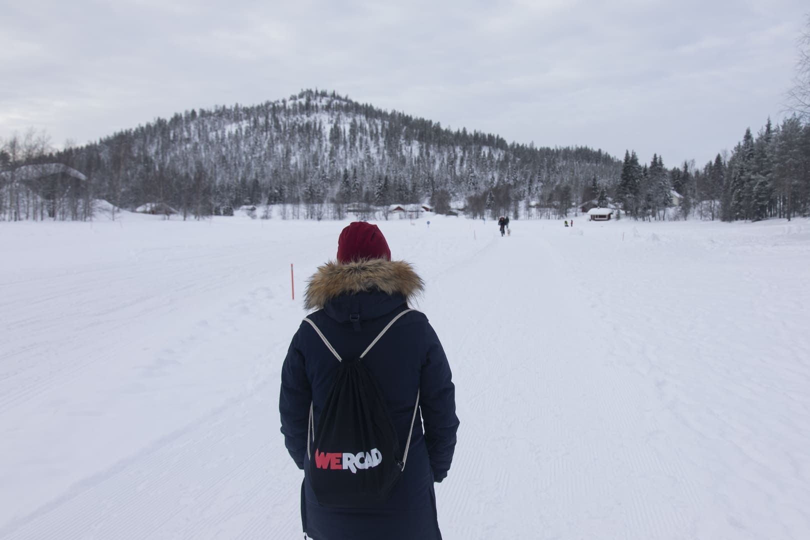 Una persona di un viaggio di gruppo WeRoad, vista da dietro, cammina attraverso un vasto paesaggio innevato con una collina boscosa sullo sfondo.