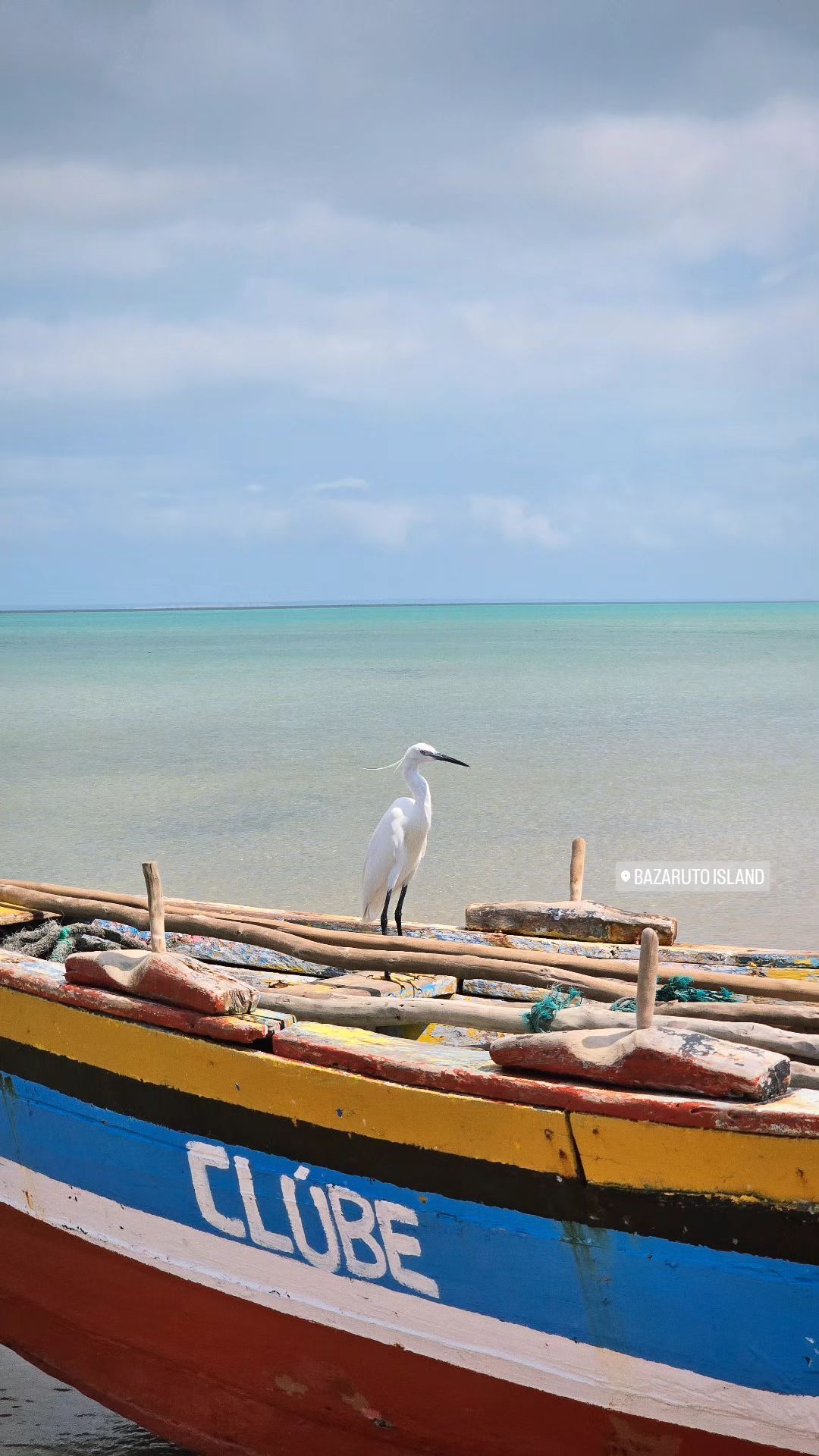 Ein weißer Reiher steht auf einem farbenfrohen Holzboot am Ufer eines ruhigen, türkisfarbenen Meeres unter einem bewölkten Himmel.