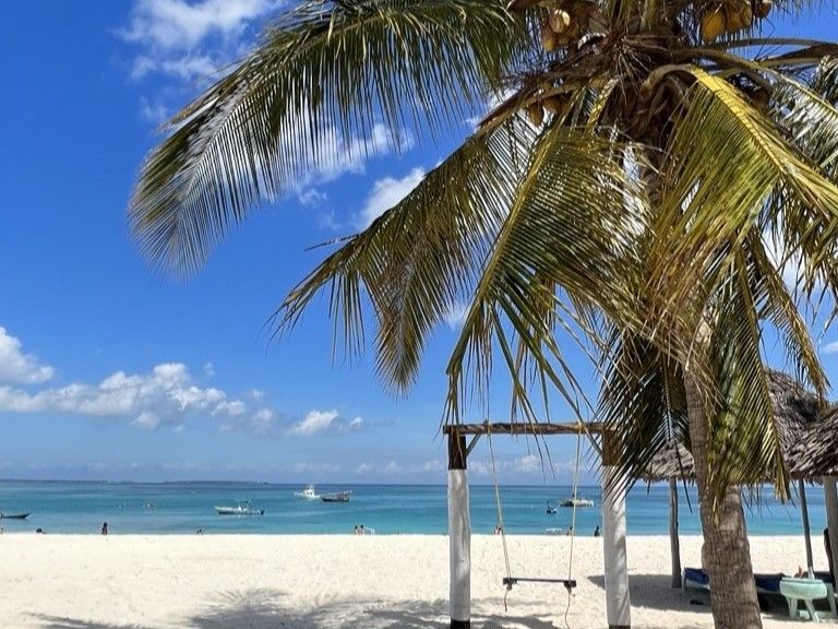 Una palma e un'altalena di legno su una spiaggia di sabbia bianca con vista su un oceano turchese e barche sotto un cielo blu.