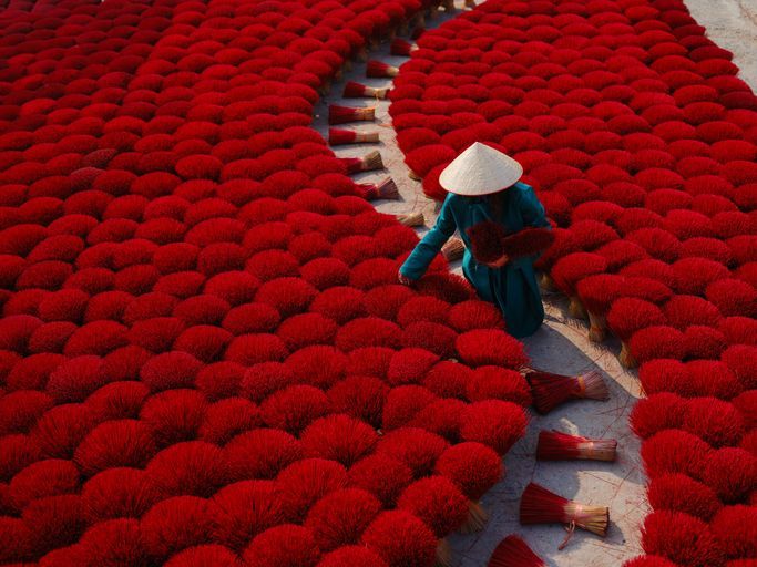 A person wearing a conical hat arranges bundles of red incense sticks that are laid out to dry on the ground in rows.