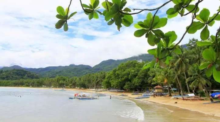 A view of a tropical beach from under green leaves, showing a sandy shore, palm trees, and forested mountains in the background.