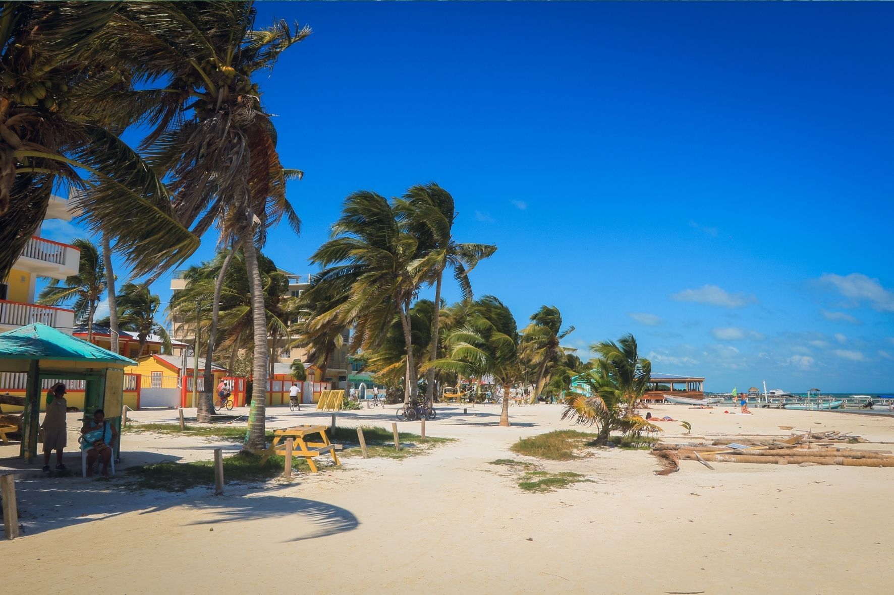 Alte palme ondeggiano al vento su una spiaggia di sabbia bianca fiancheggiata da edifici colorati sotto un cielo azzurro limpido.