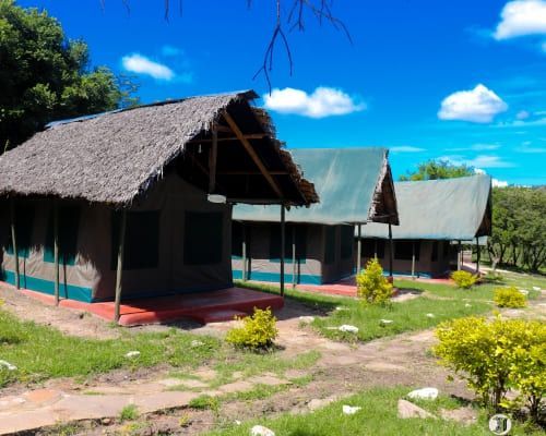 Una hilera de grandes tiendas de safari con techos de paja y lona, situadas en una ladera verde con árboles bajo un cielo azul.