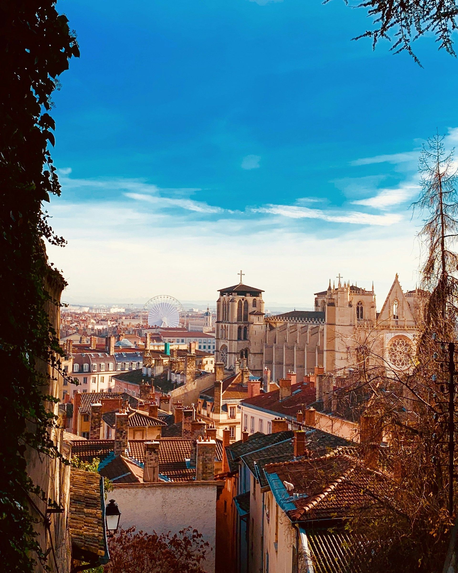 Vista dall'alto sui tetti di terracotta in una città europea, con una grande cattedrale e una ruota panoramica visibili sotto un cielo blu.
