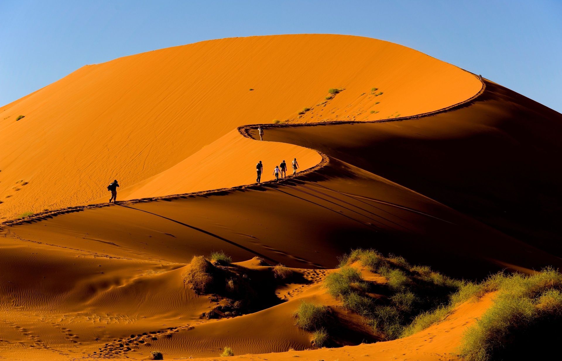 Un gruppo WeRoad in viaggio cammina in fila lungo la cresta di una vasta duna di sabbia arancione sotto un cielo azzurro e limpido.
