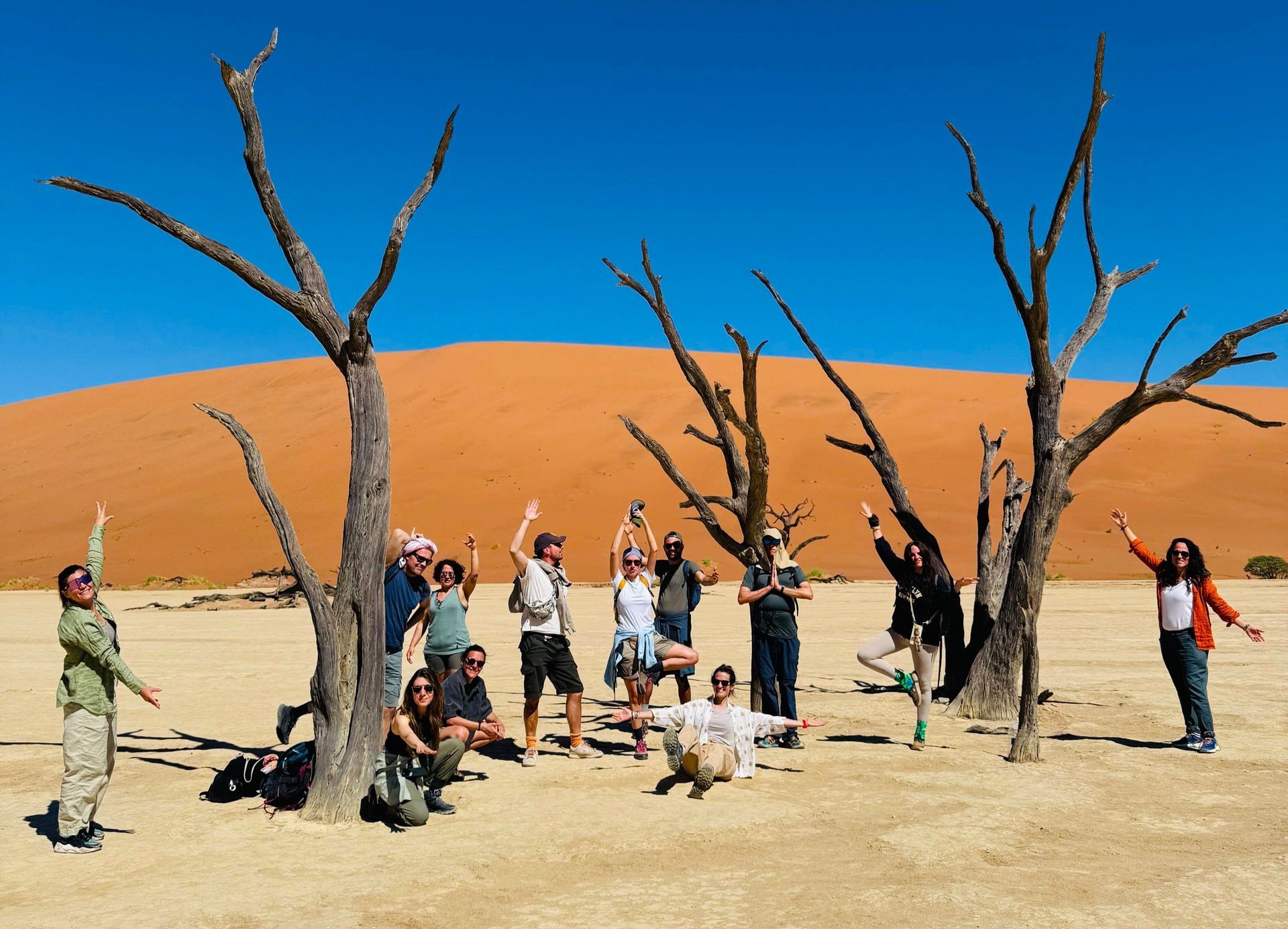 Un viaggio di gruppo WeRoad in posa tra alberi spogli, in un deserto con grandi dune di sabbia arancioni sotto un cielo azzurro.