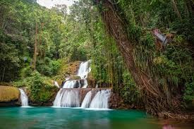 Une cascade à plusieurs niveaux se jette dans un bassin turquoise, entourée d'une jungle luxuriante avec un grand arbre couvert de lianes au premier plan.