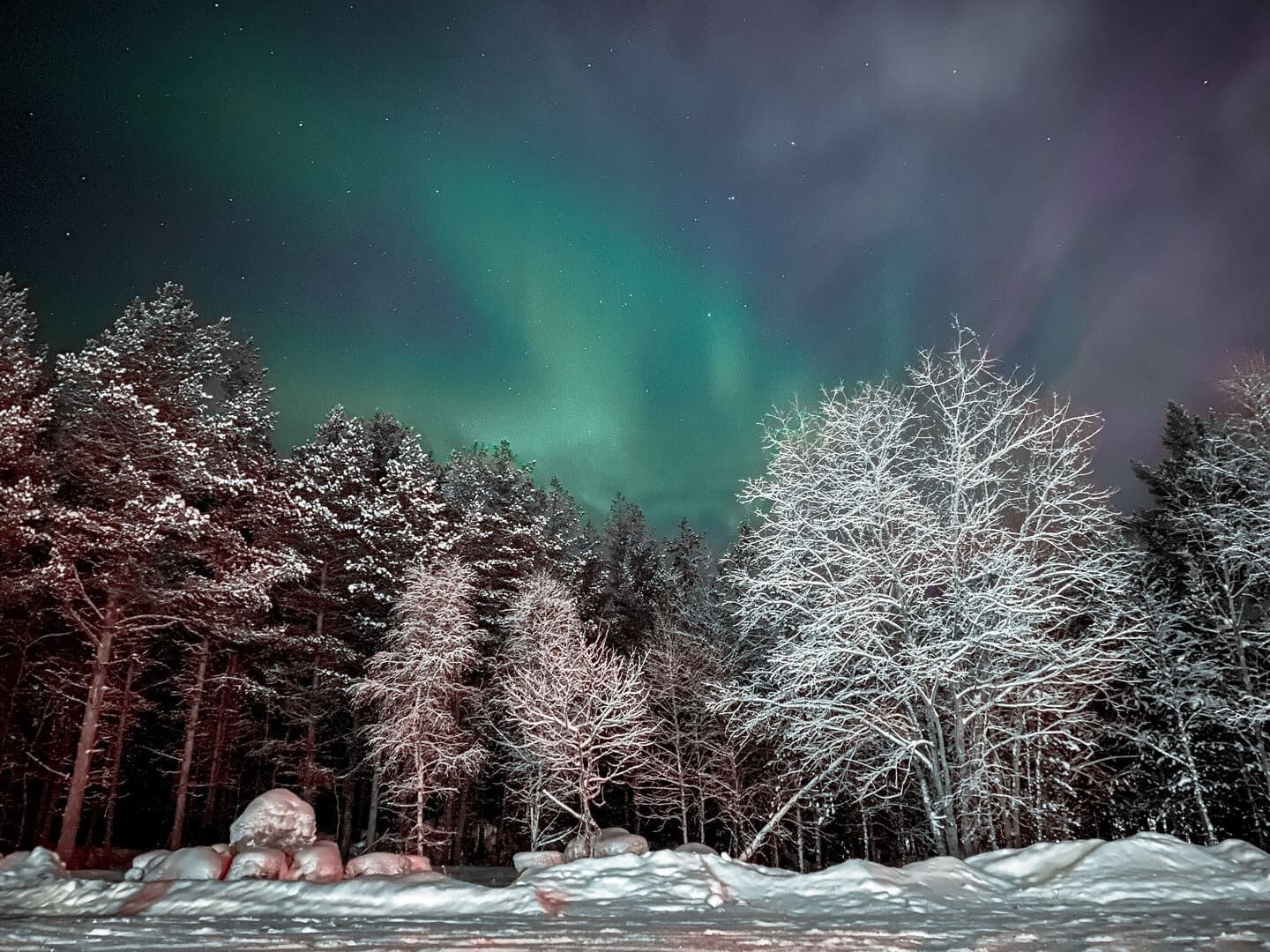 L'aurora boreale verde brilla nel cielo notturno stellato sopra una fitta foresta innevata.