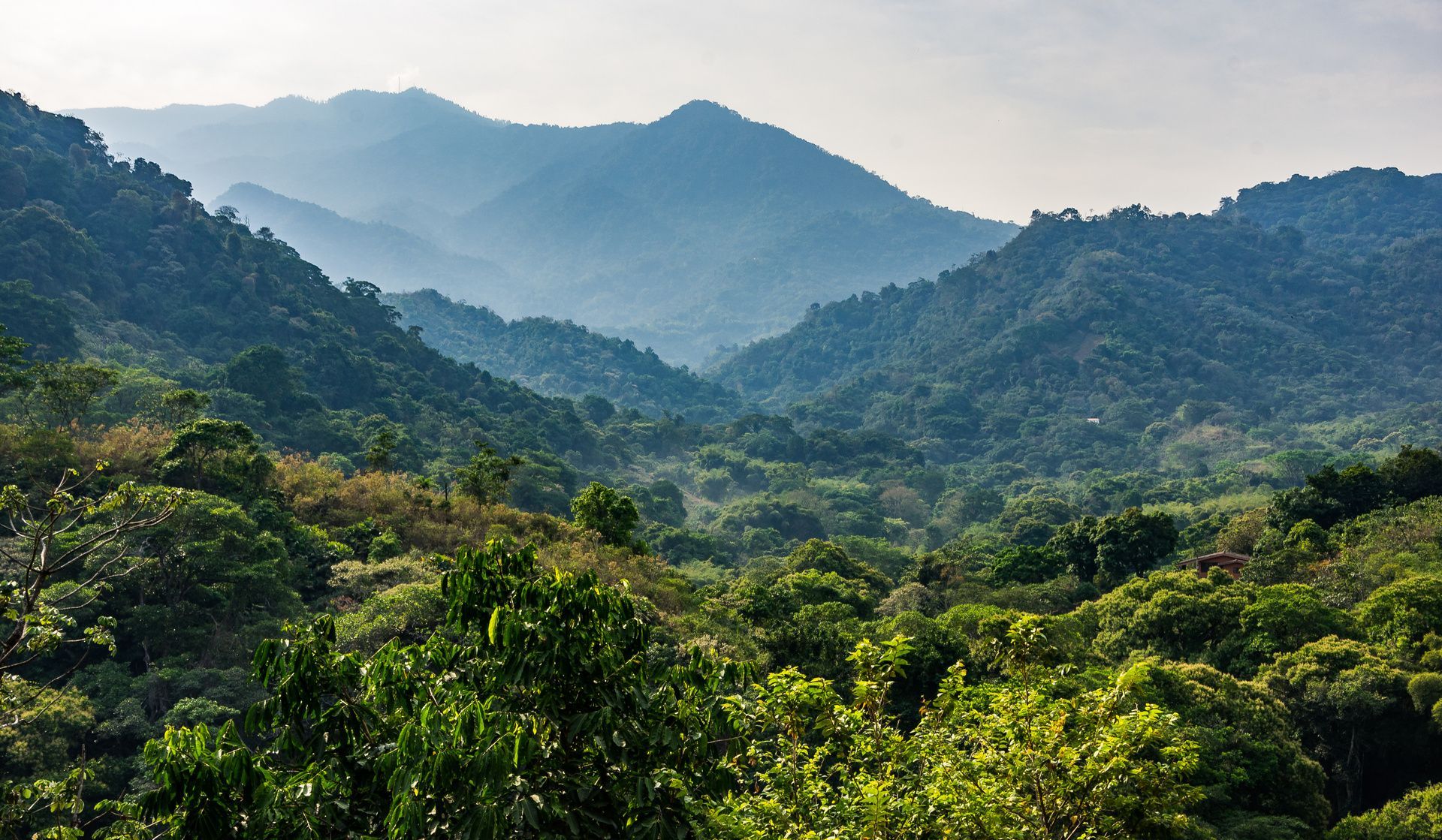 Una vista panorámica de un vasto valle lleno de exuberante selva verde, con cadenas montañosas brumosas en la distancia.