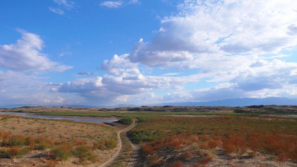 Una strada sterrata si snoda attraverso un vasto paesaggio arbustivo verso un fiume e montagne lontane sotto un cielo luminoso e nuvoloso.