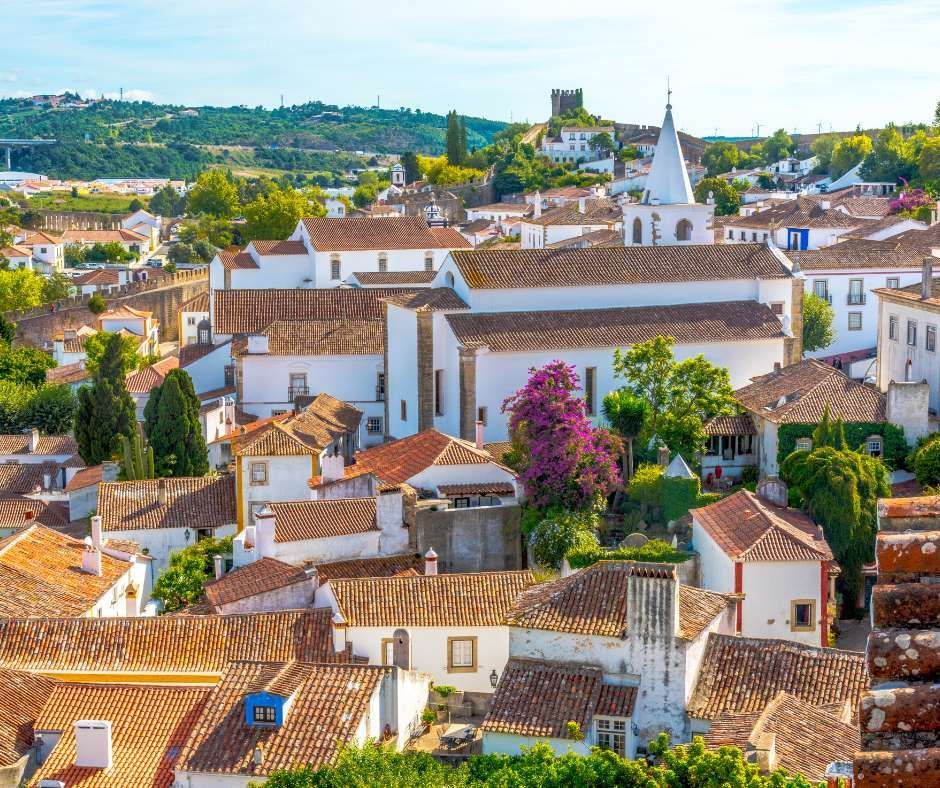 Una vista dall'alto di una città storica con edifici imbiancati, tetti in tegole di terracotta e un castello lontano su una collina verde.