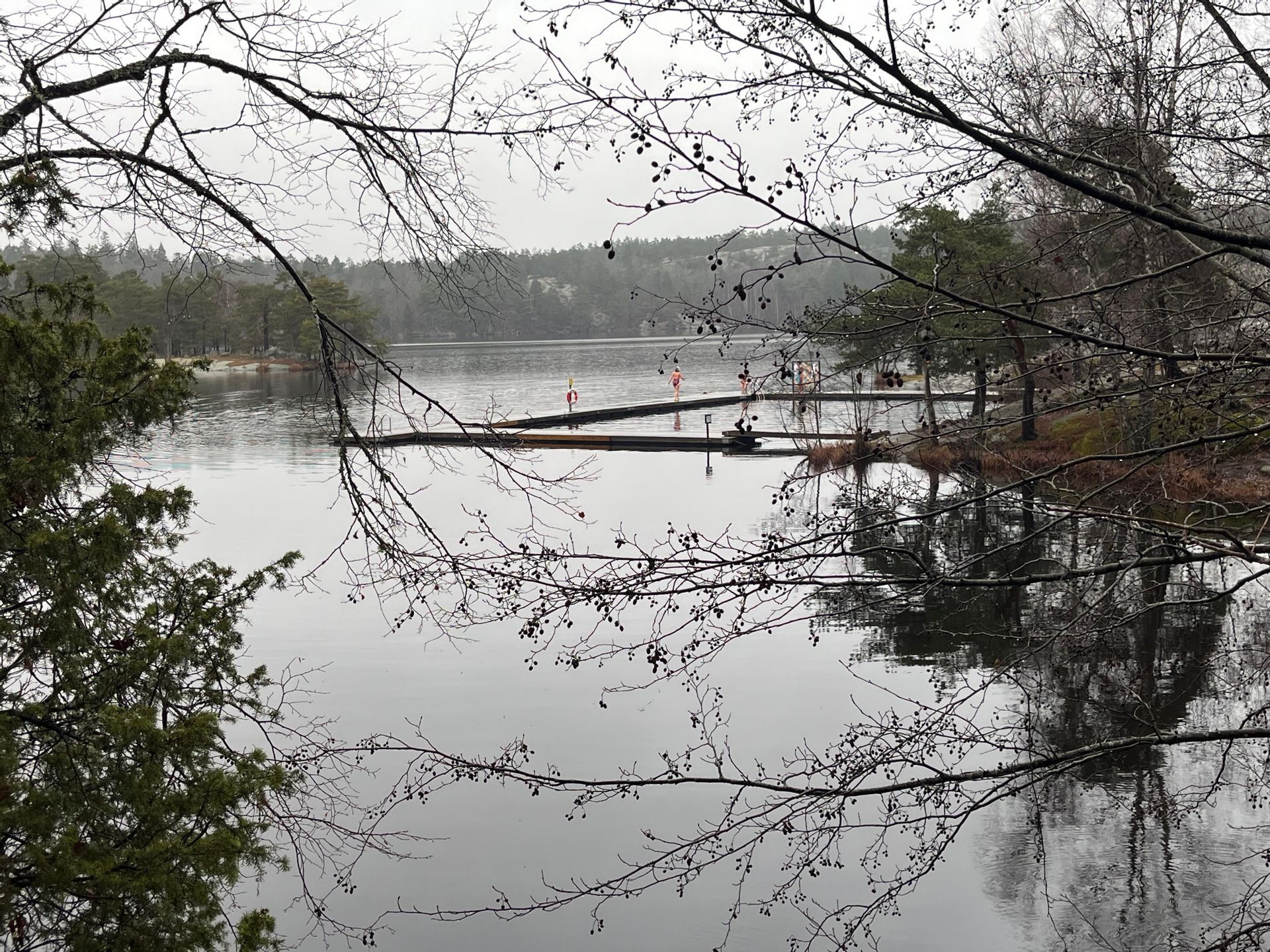 Un lago calmo con un pontile in legno, visto tra i rami di alberi spogli in una giornata nuvolosa.