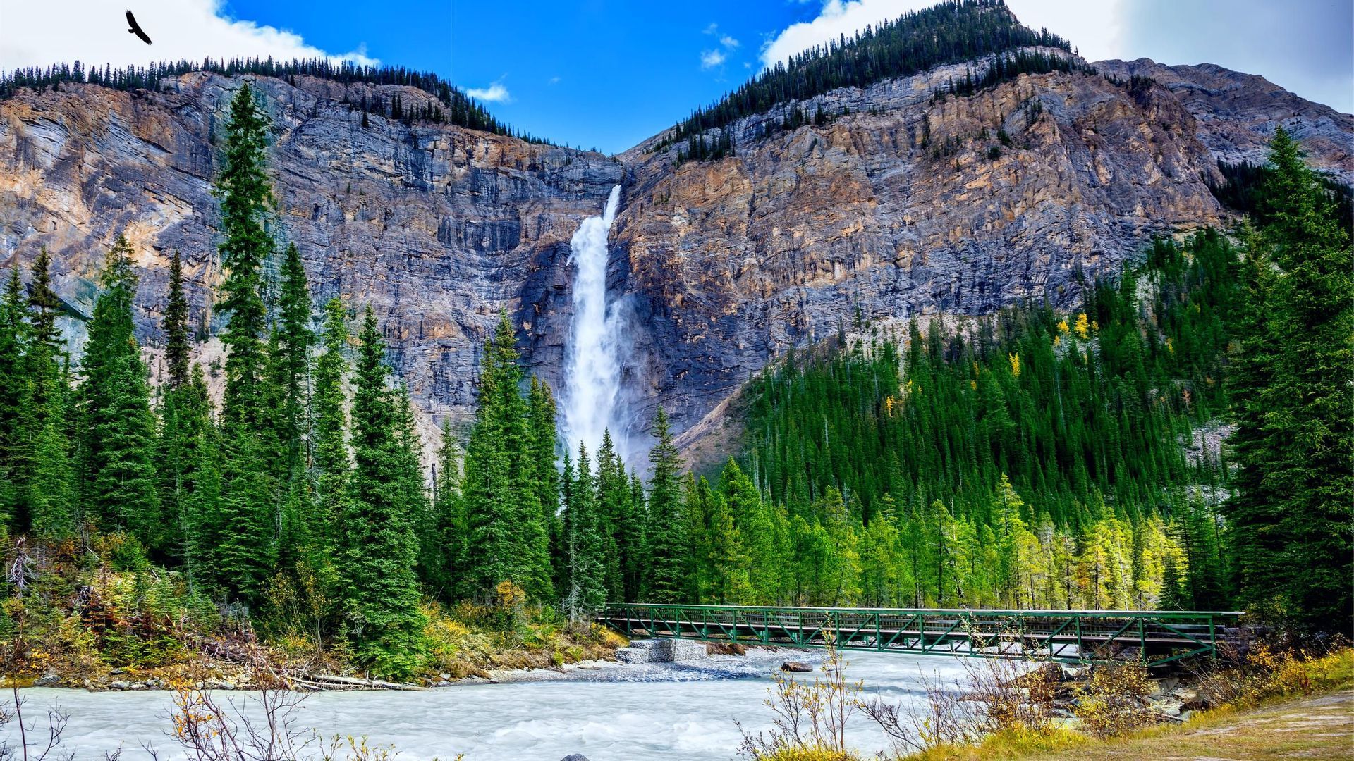 Una cascata imponente scende da una parete rocciosa stratificata in un fiume impetuoso, con un ponte verde e una pineta in primo piano.