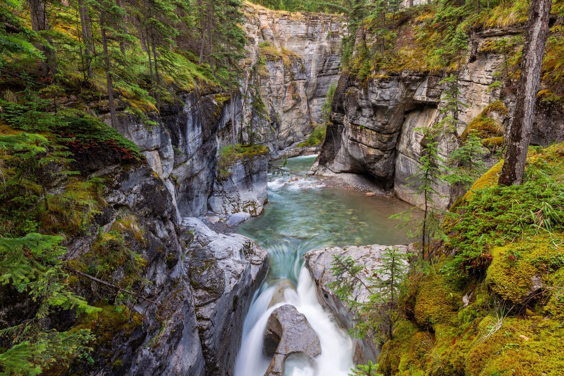 Una cascata si getta in un fiume che scorre in un profondo canyon roccioso, fiancheggiato da muschio e pini.
