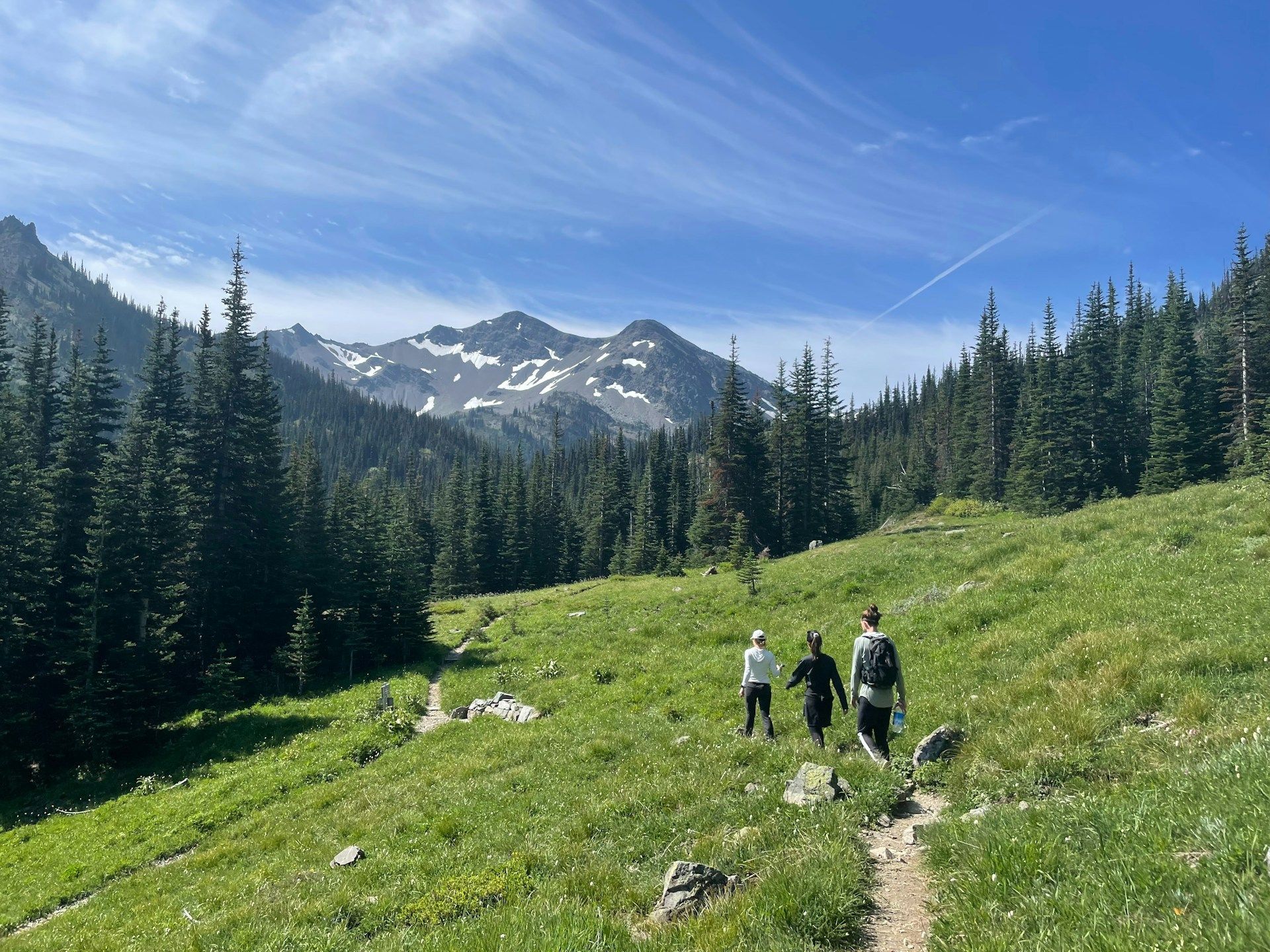 Un viaggio di gruppo WeRoad con tre persone che fanno trekking su un sentiero in un verde prato di montagna, circondato da pini e cime innevate.