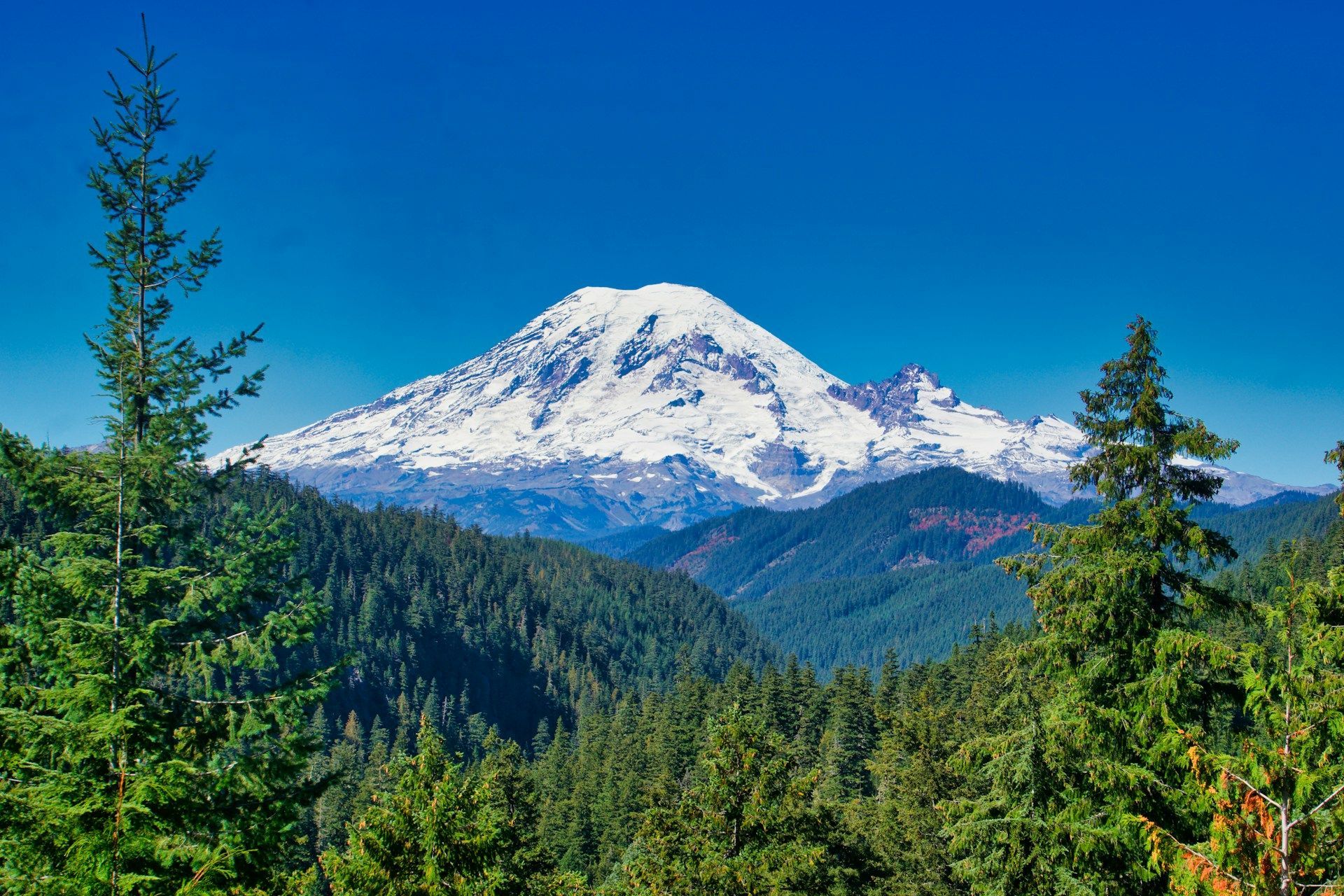 Una grande montagna innevata domina una fitta foresta verde sotto un cielo azzurro e limpido.