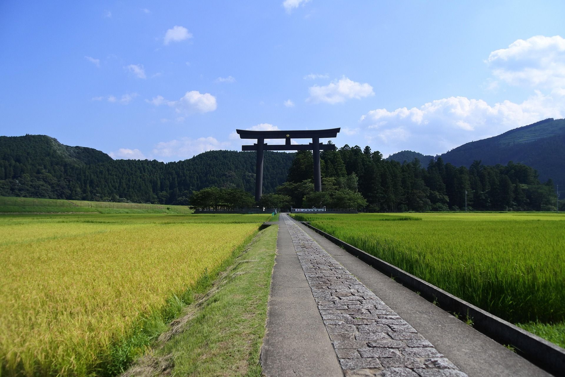 Un sentiero in pietra attraversa vivaci risaie verdi verso un grande cancello torii nero ai piedi di colline boscose.
