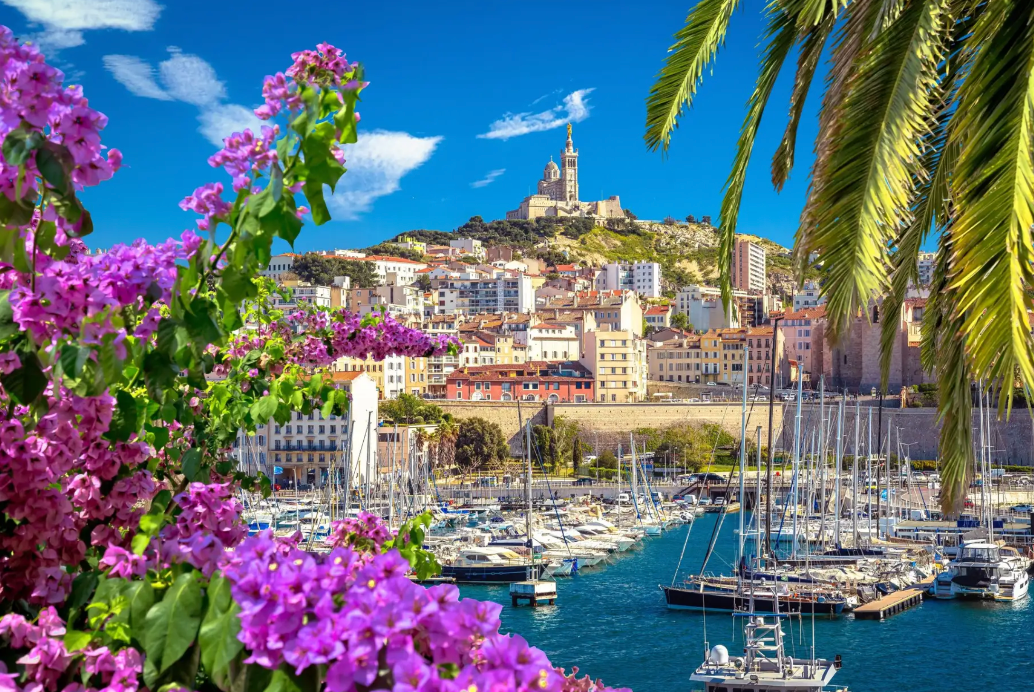 Un vivace porto con numerose imbarcazioni, dominato da una città collinare e una basilica, incorniciato da fiori viola e una foglia di palma.