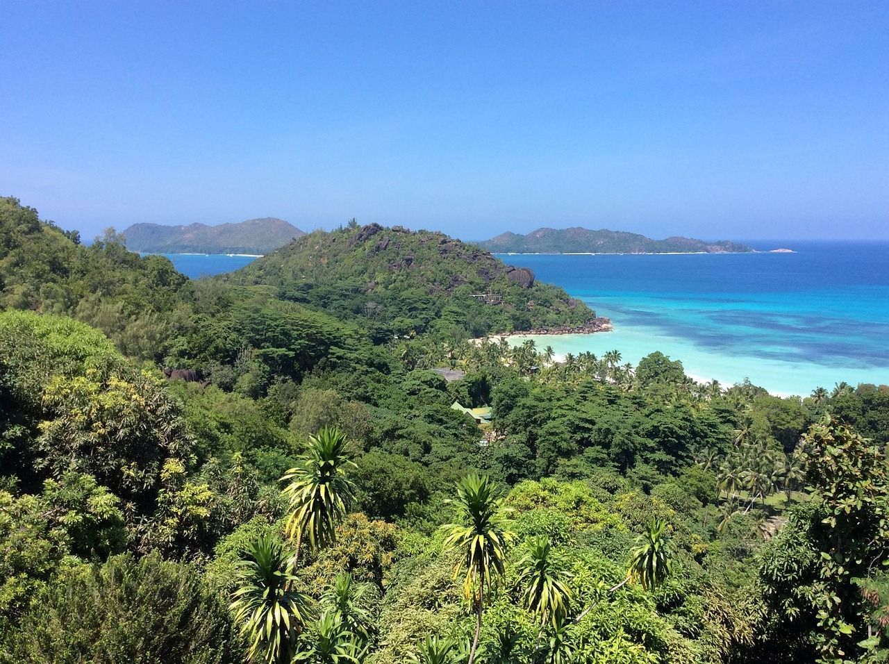 Eine Vogelperspektive eines dichten tropischen Waldes mit Blick auf eine Bucht mit einem weißen Sandstrand und türkisblauem Wasser unter einem klaren blauen Himmel.