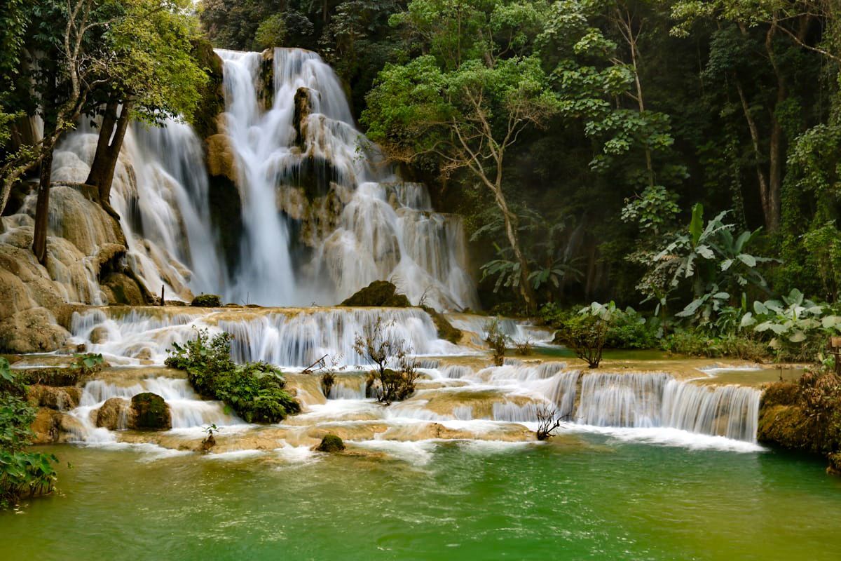 Une cascade à plusieurs niveaux dévale des bassins de travertin pour se jeter dans un lagon vert, entourée d'une jungle luxuriante.